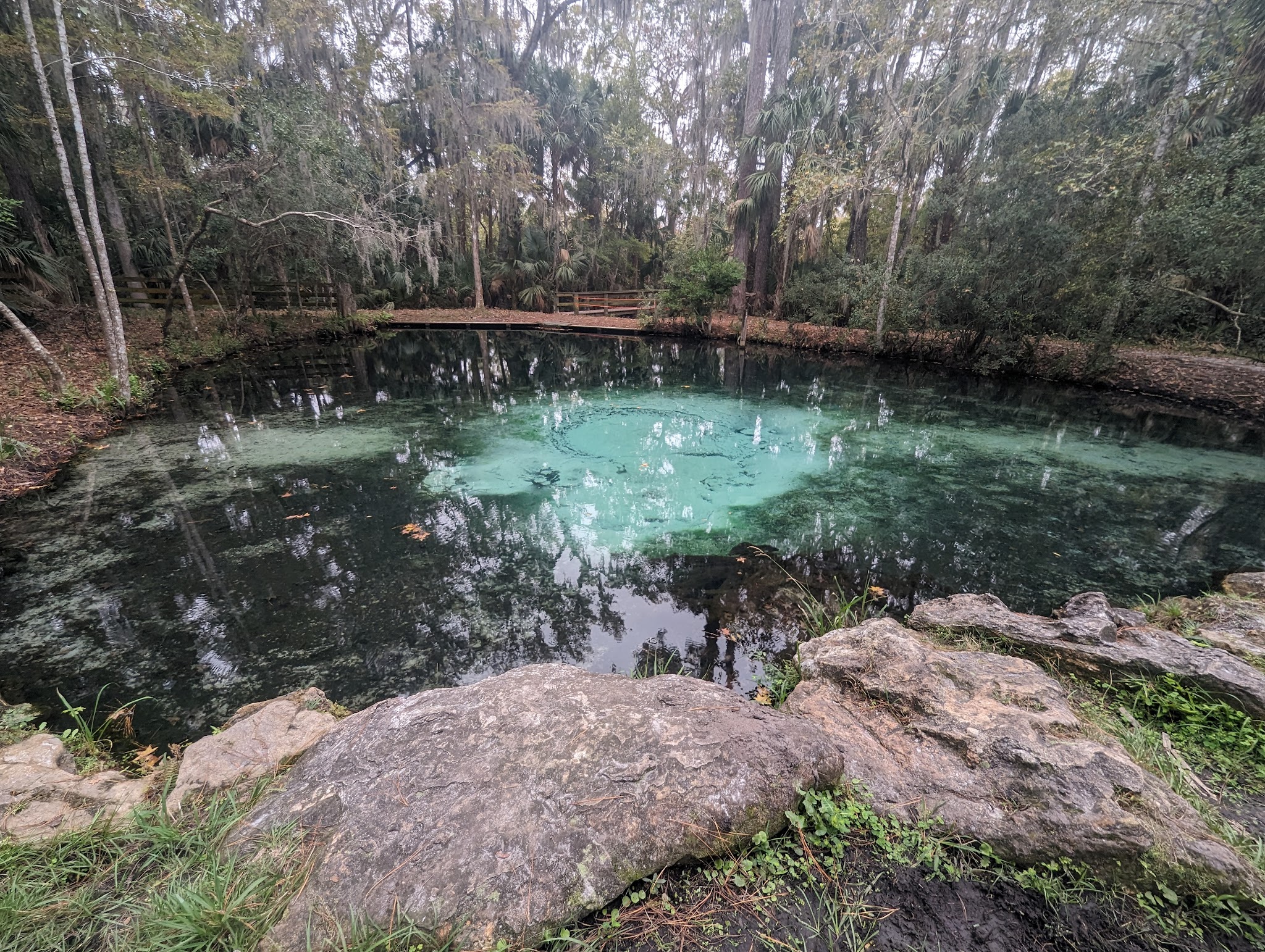 Welaka Primitive Campsites