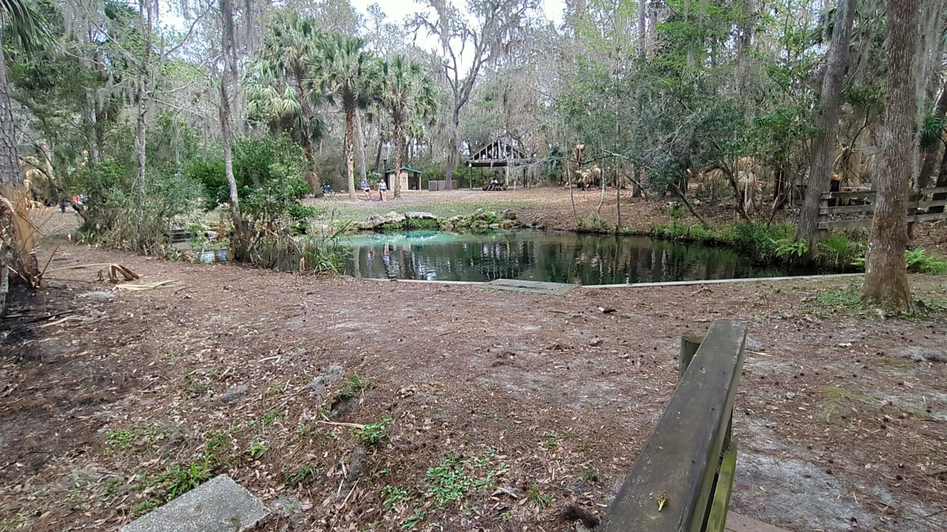 Welaka Primitive Campsites