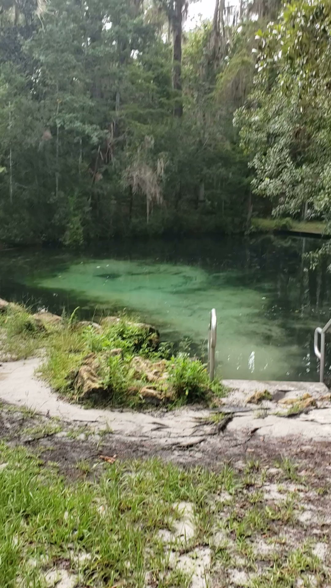 Welaka Primitive Campsites