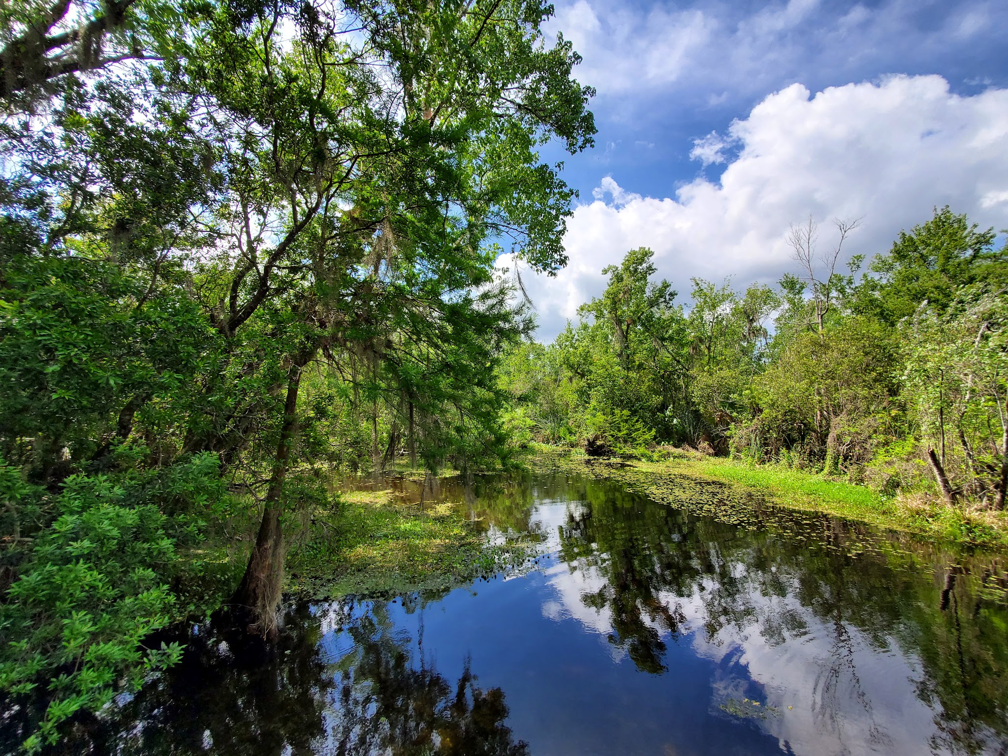 Welaka Primitive Campsites