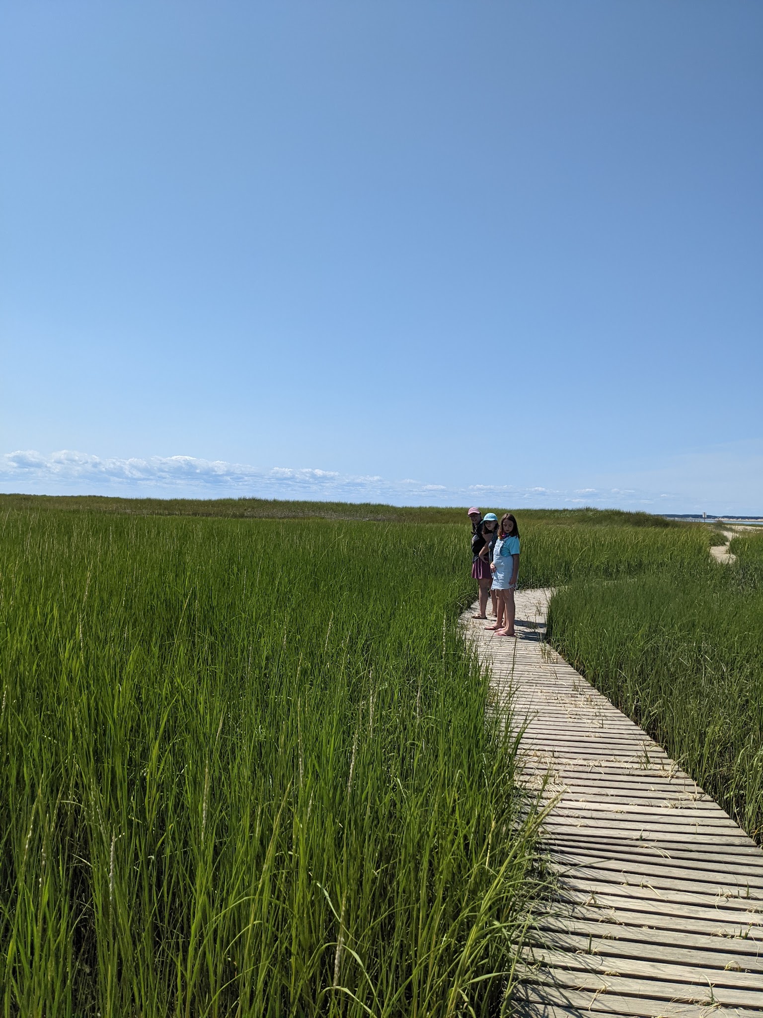 Wellfleet Hollow State Campground