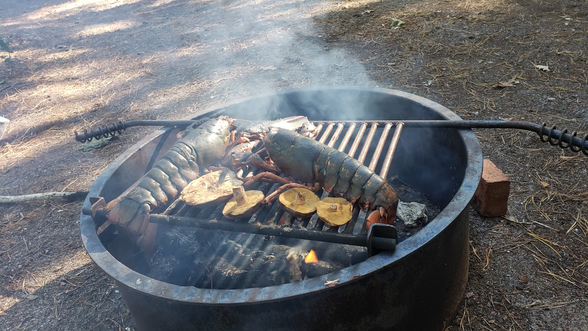 Wellfleet Hollow State Campground