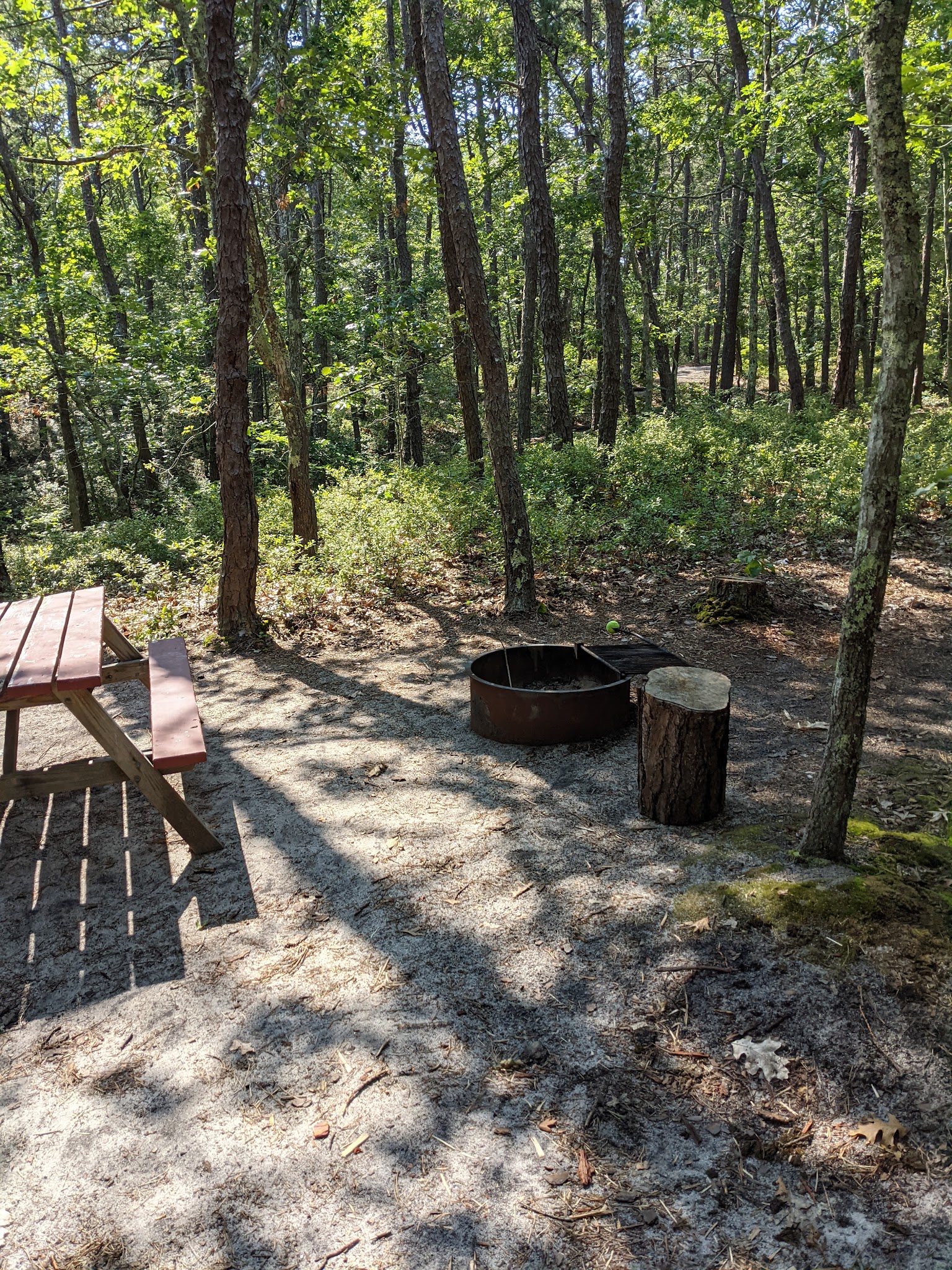Wellfleet Hollow State Campground