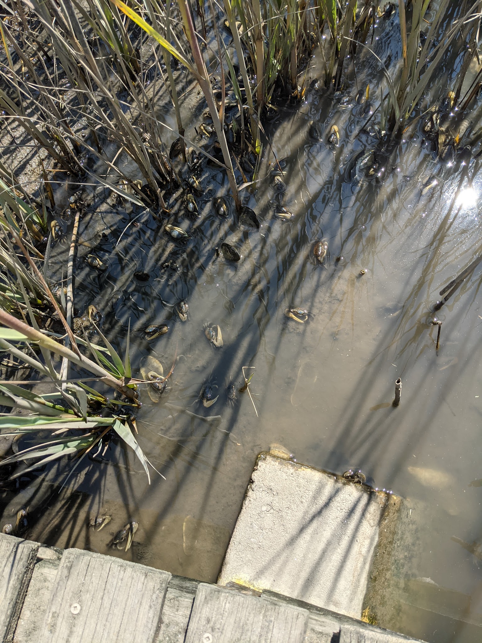 Wellfleet Hollow State Campground