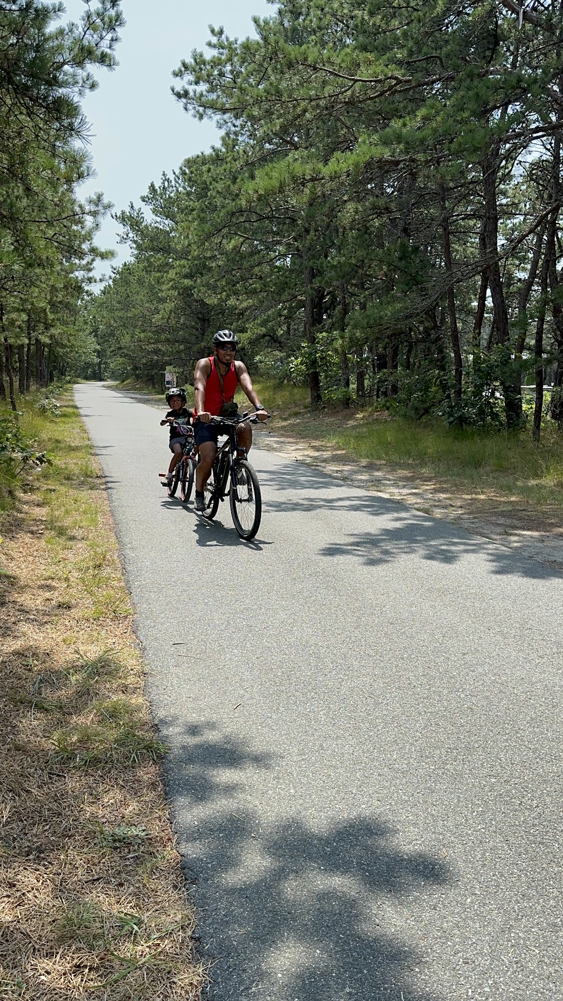 Wellfleet Hollow State Campground