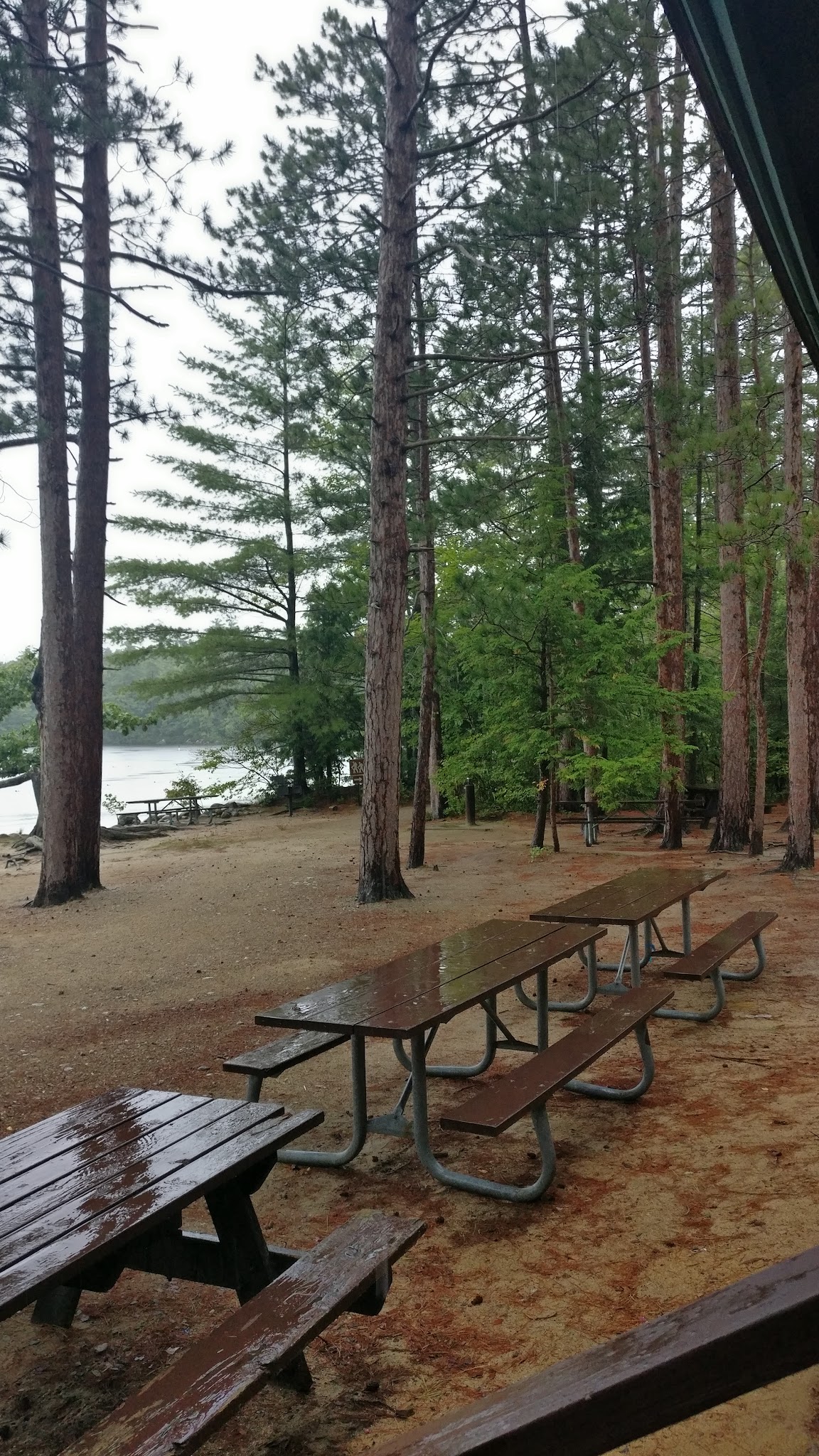 Wellington State Park