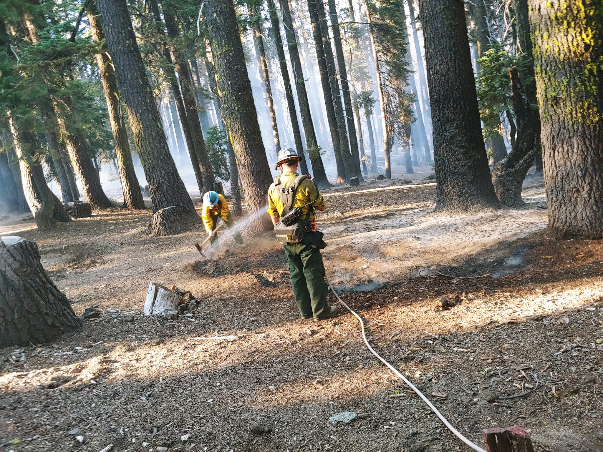 Wells Cabin Campground