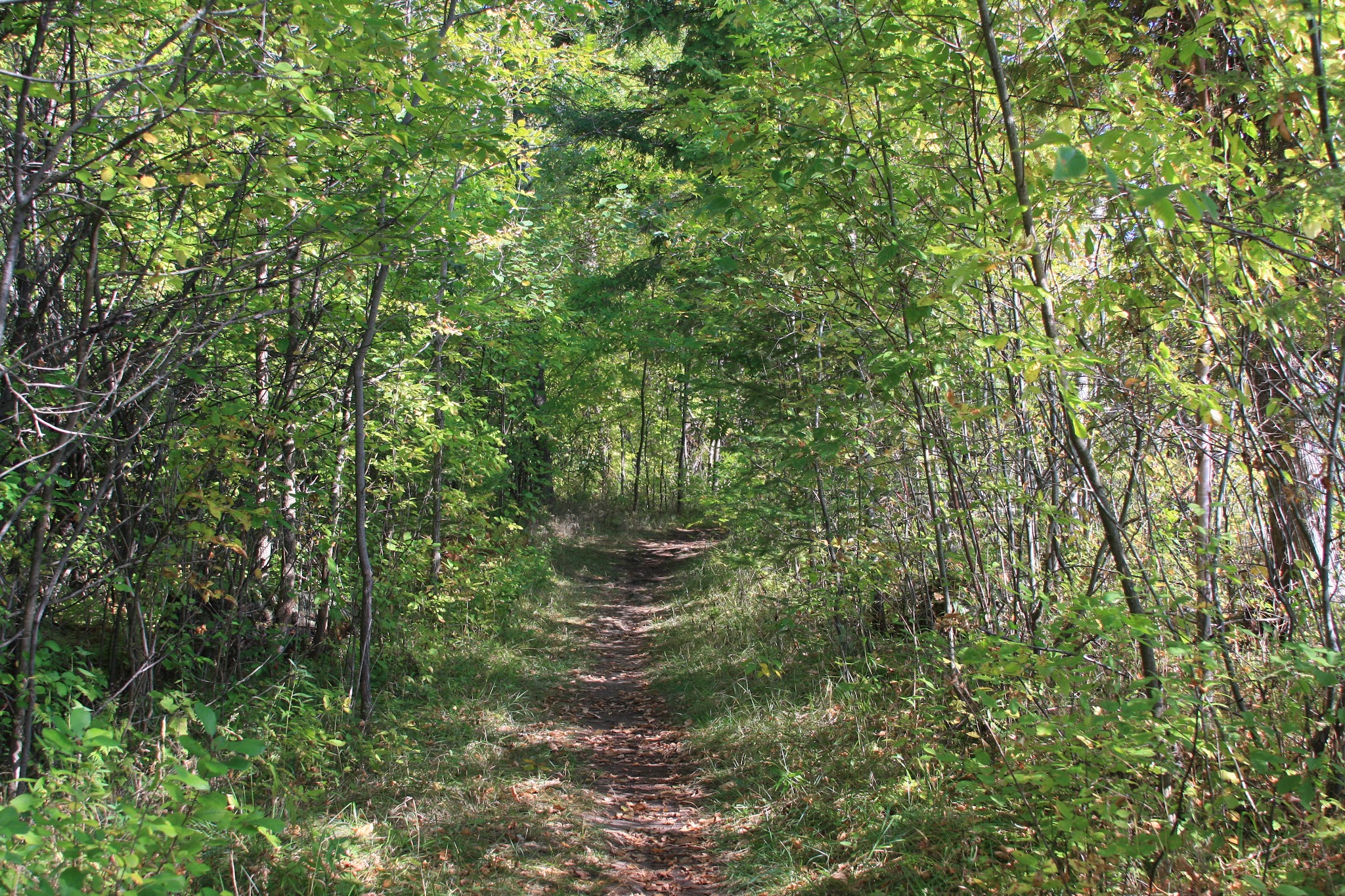 J. W. Wells Campground