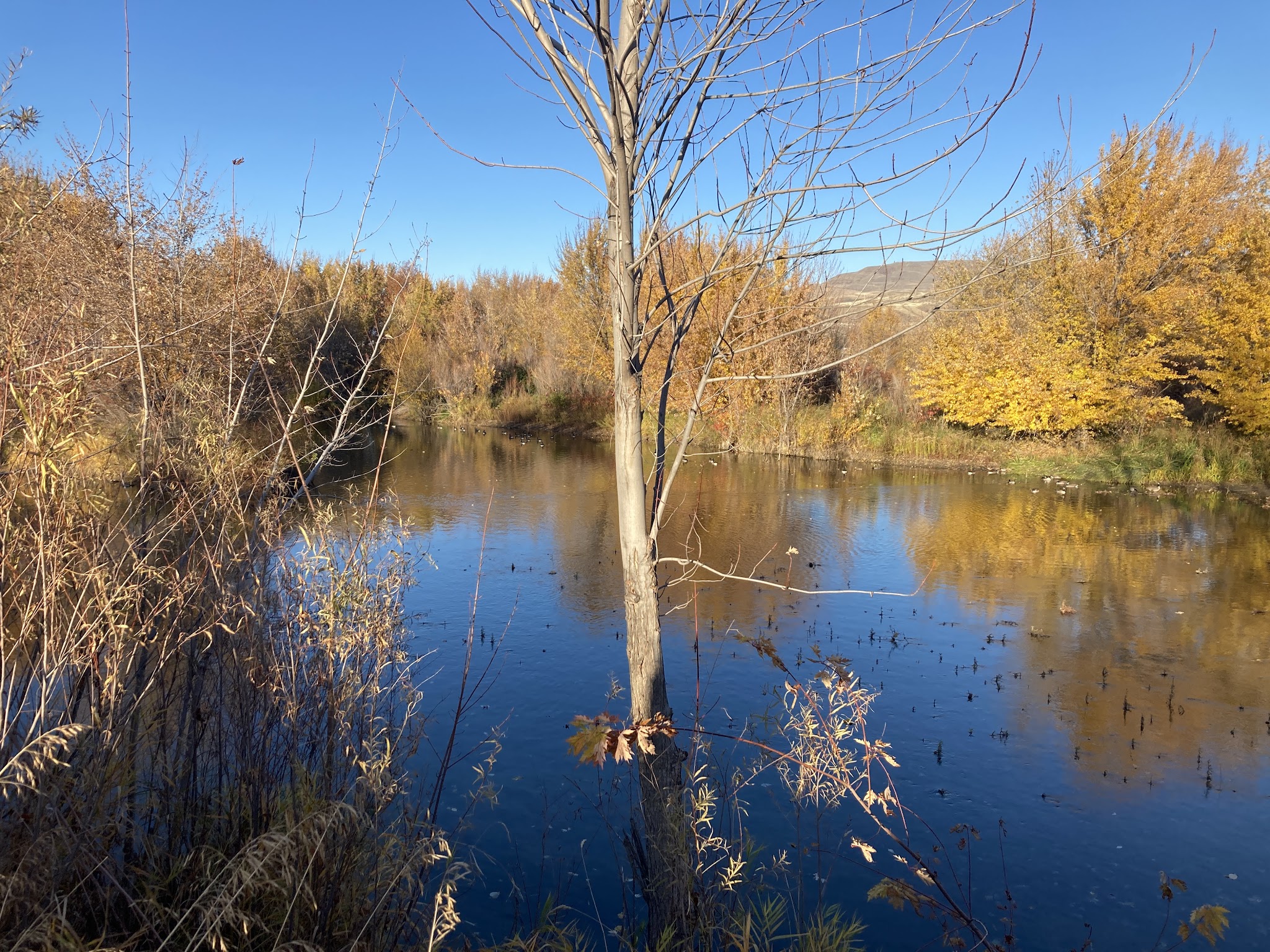 Wenatchee Confluence State Park