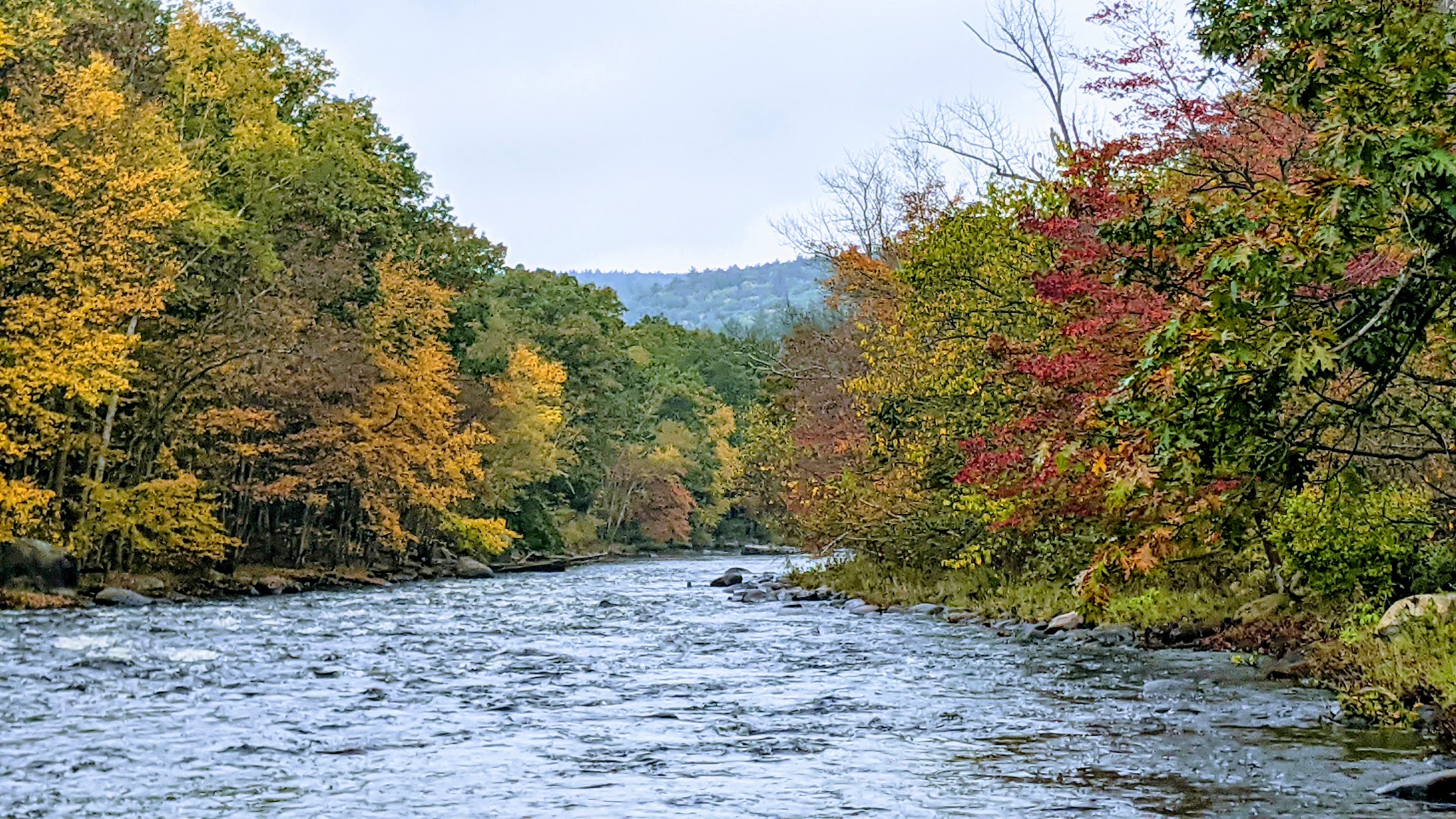 Wendell State Forest