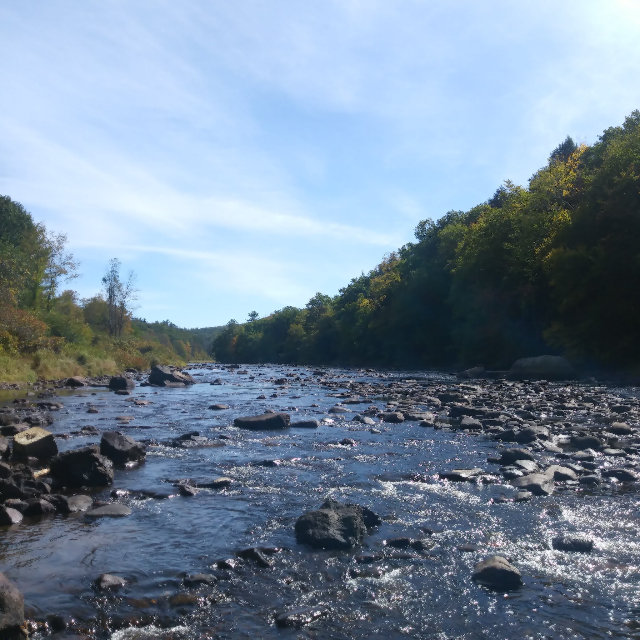 Wendell State Forest