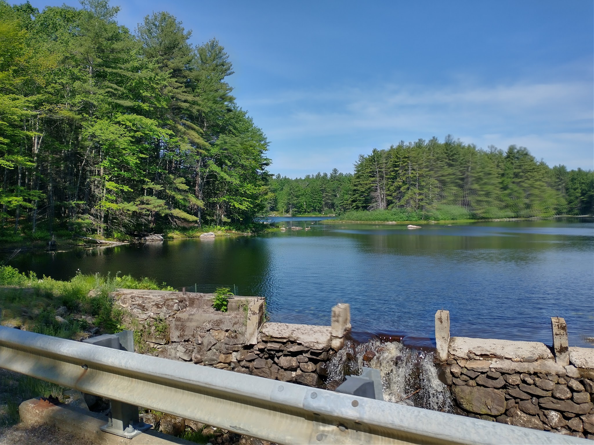 Wendell State Forest