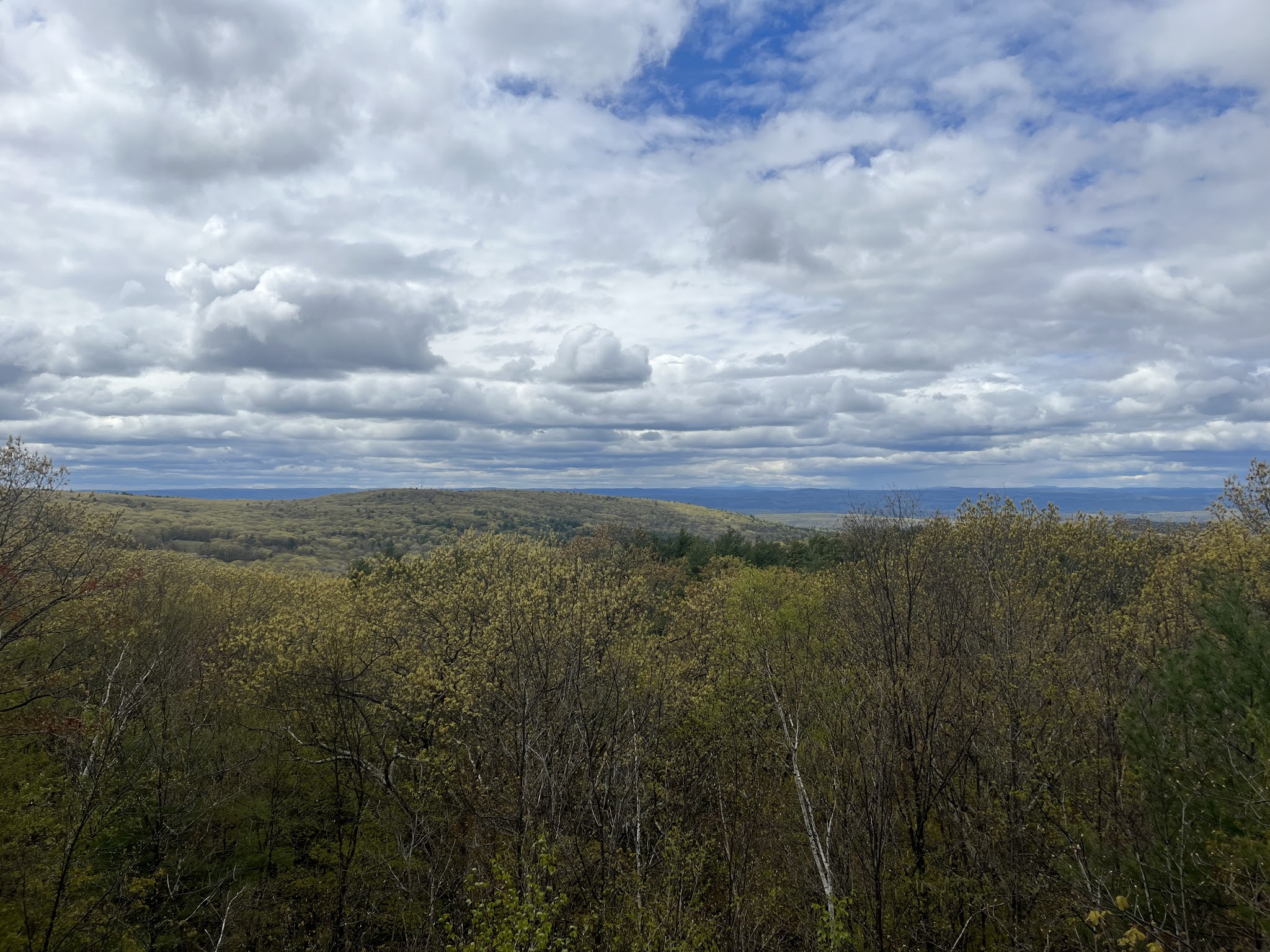 Wendell State Forest
