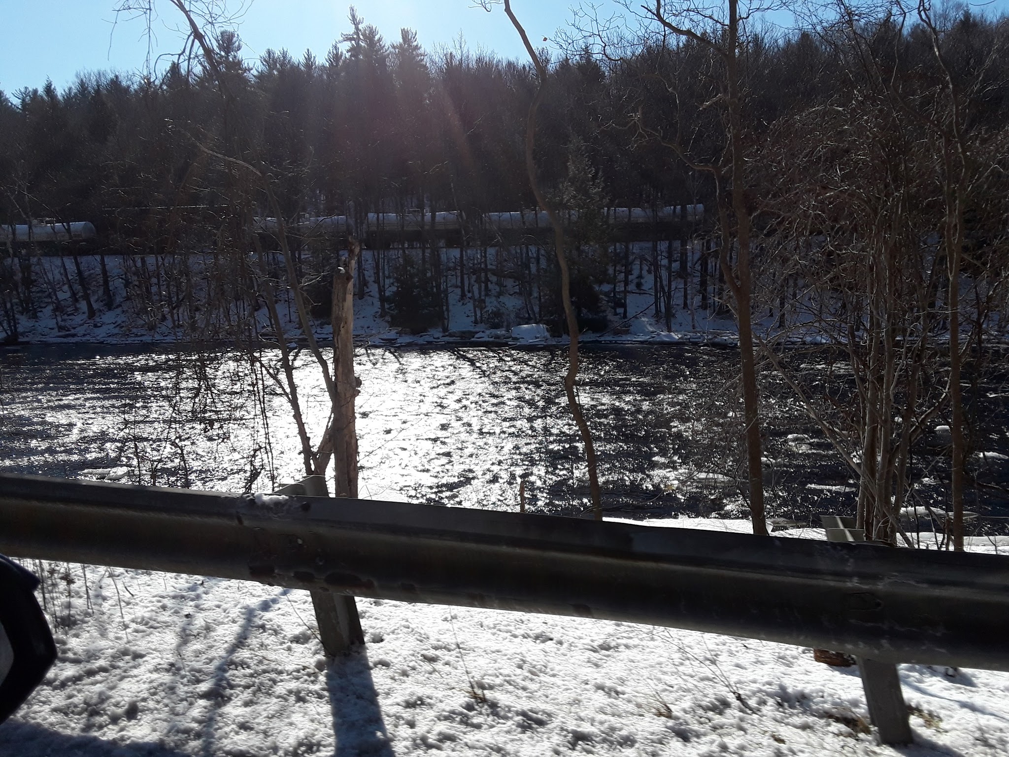 Wendell State Forest