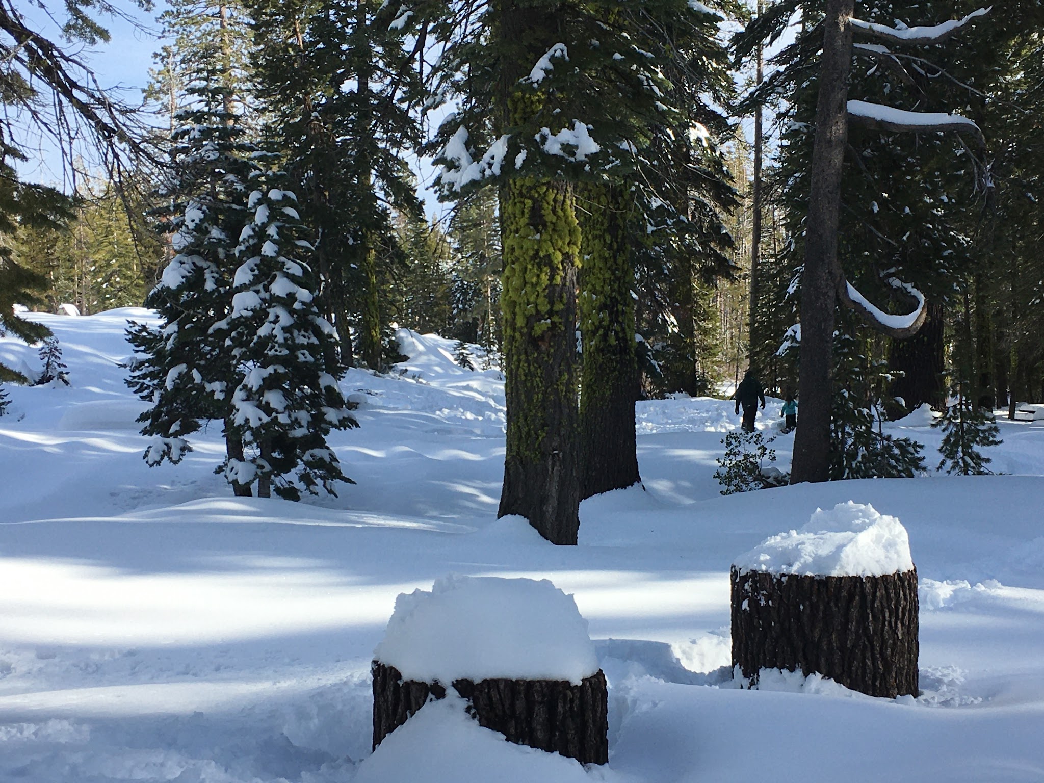 Wentworth Springs Campground