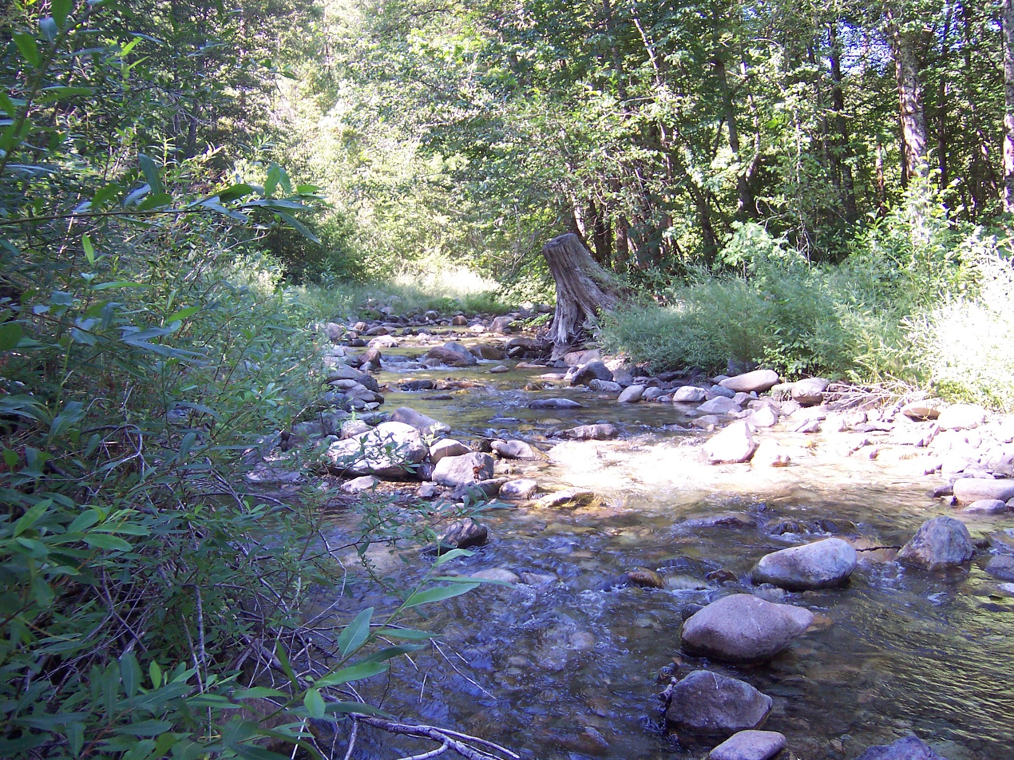 West Branch Campground
