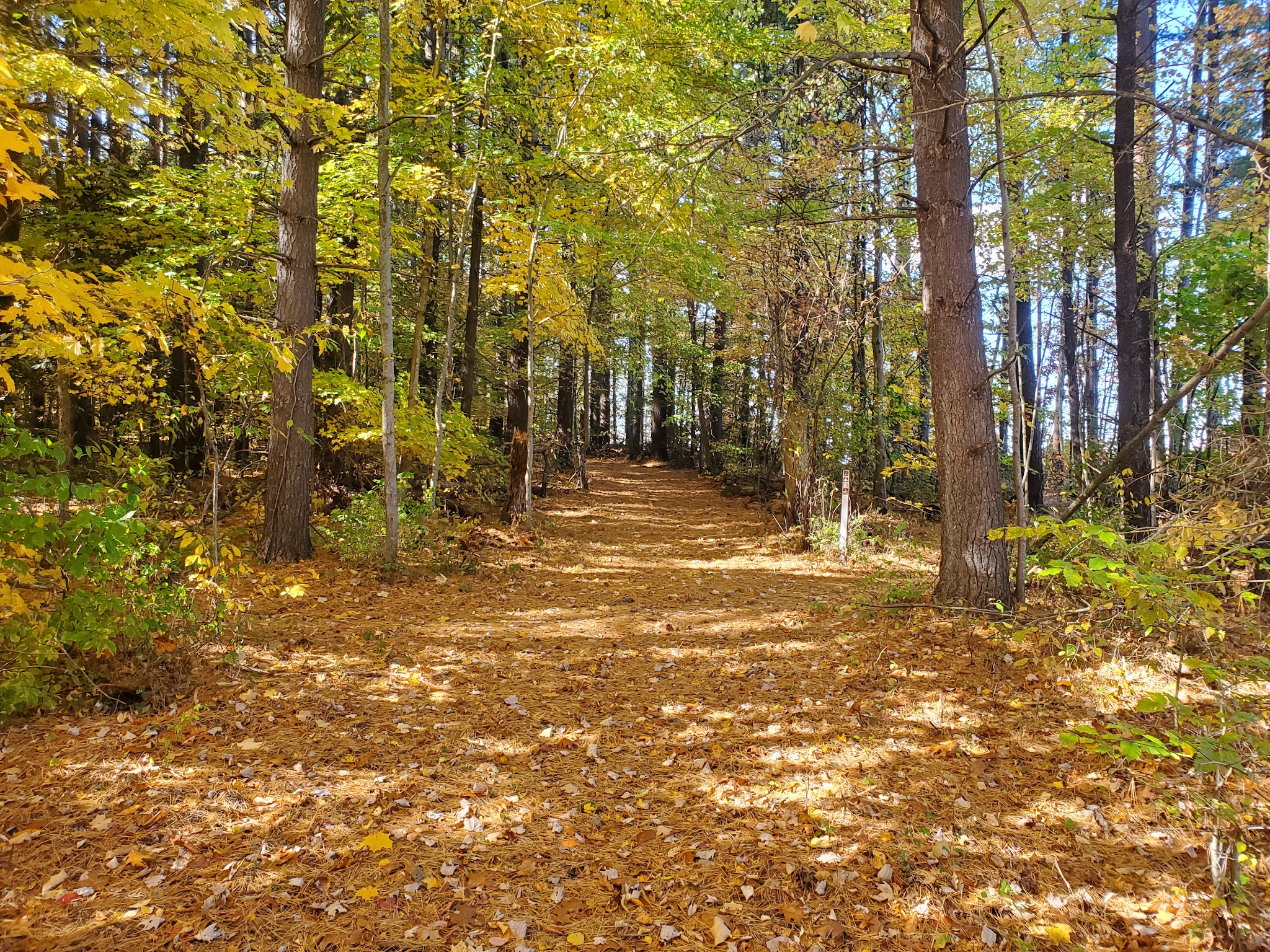 West Branch Group C Campground