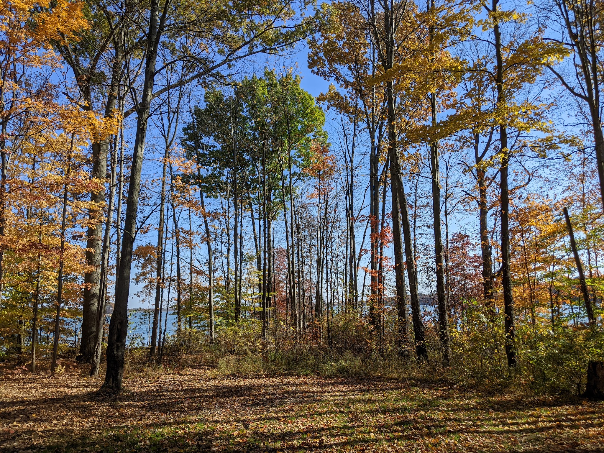 West Branch Group C Campground