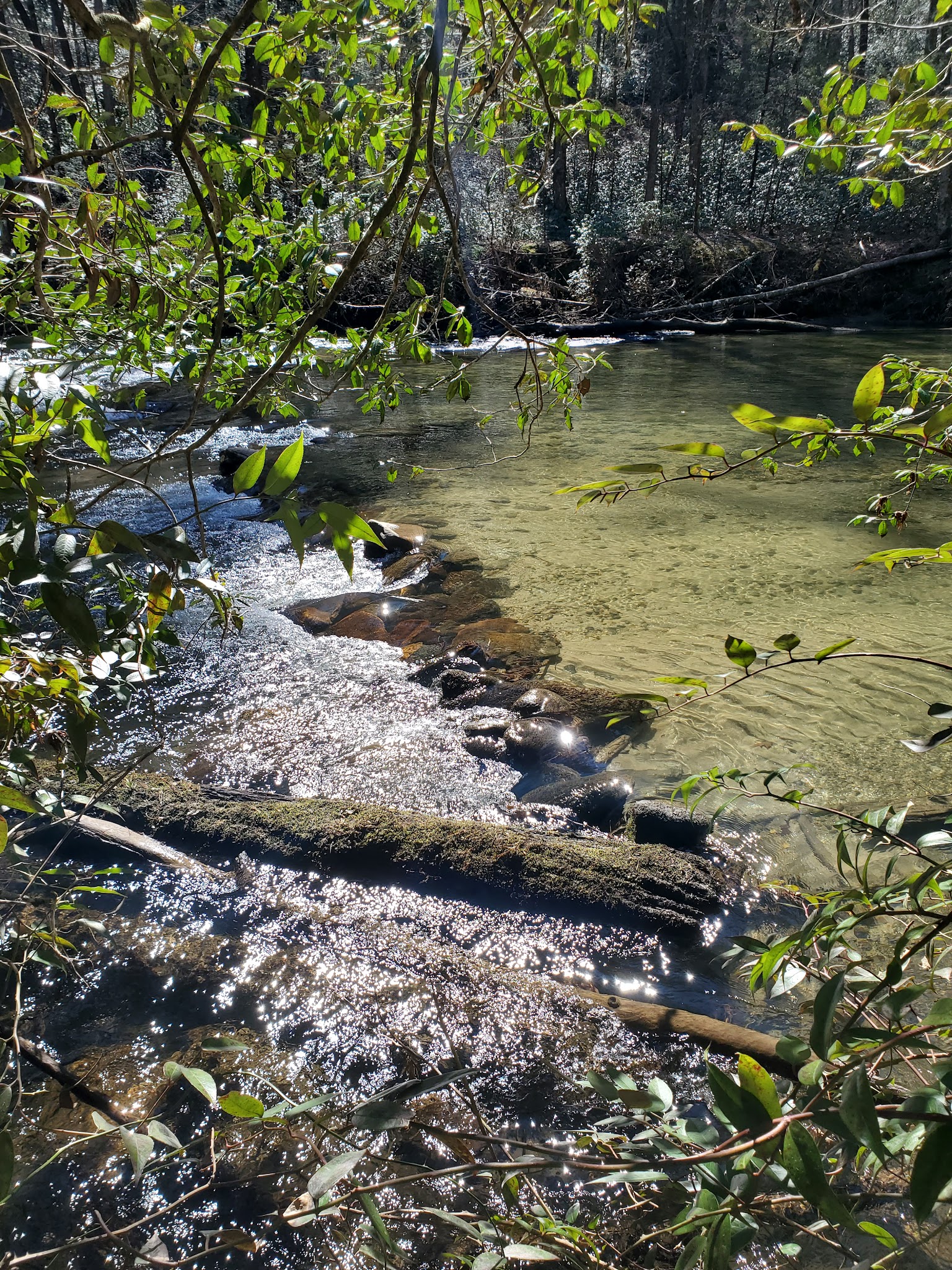 West Fork Campground