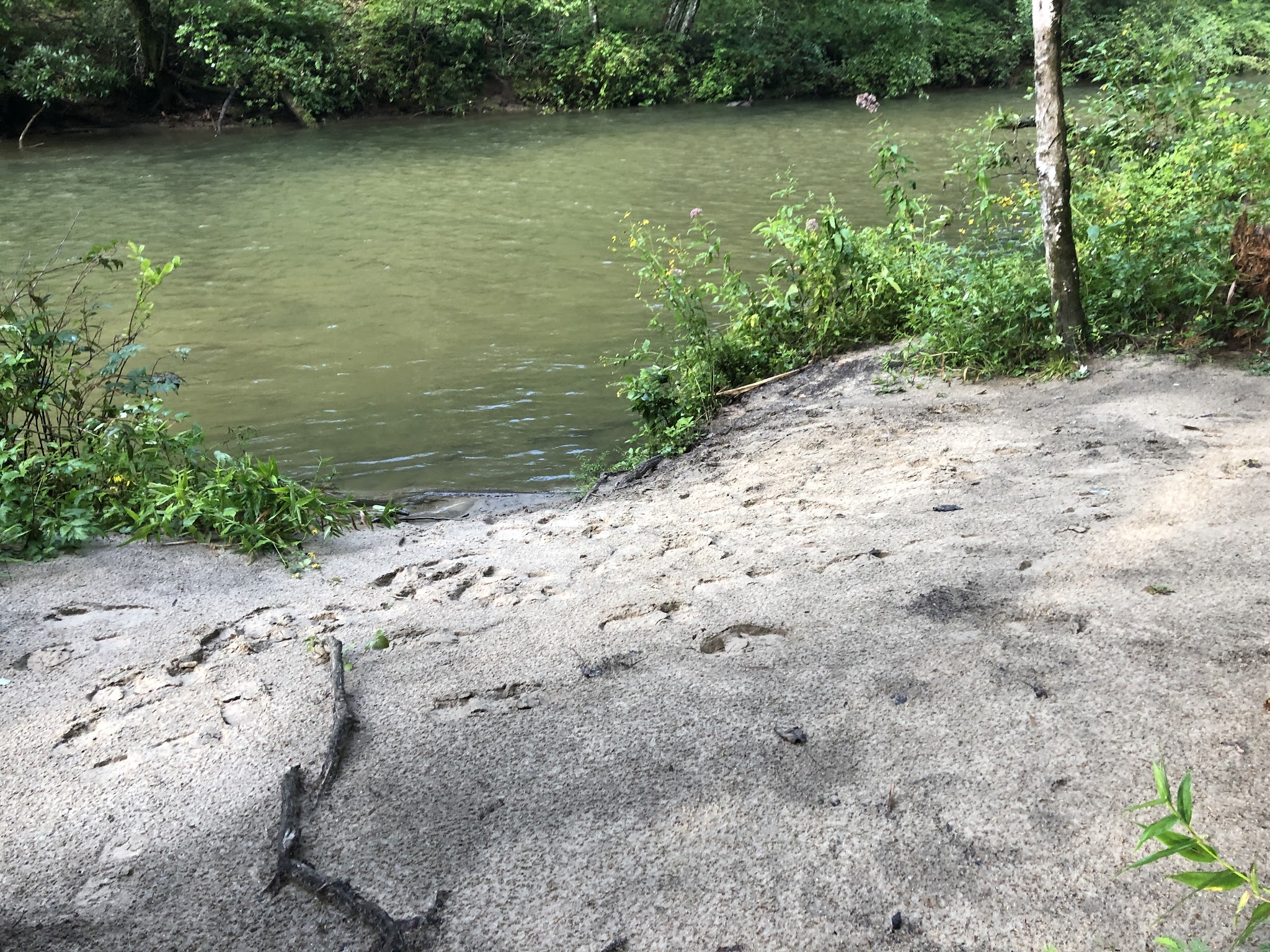 West Fork Campground