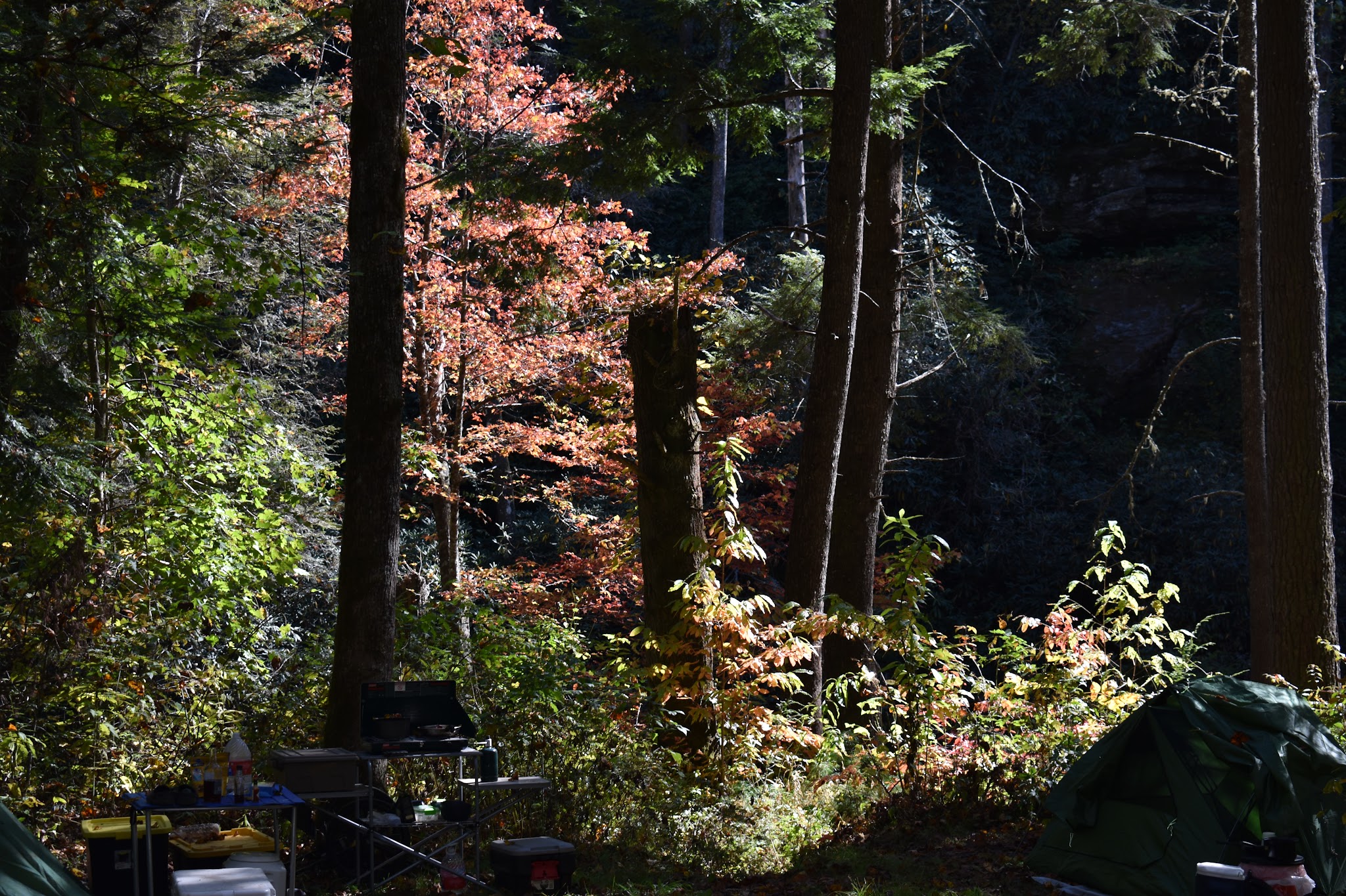 West Fork Campground