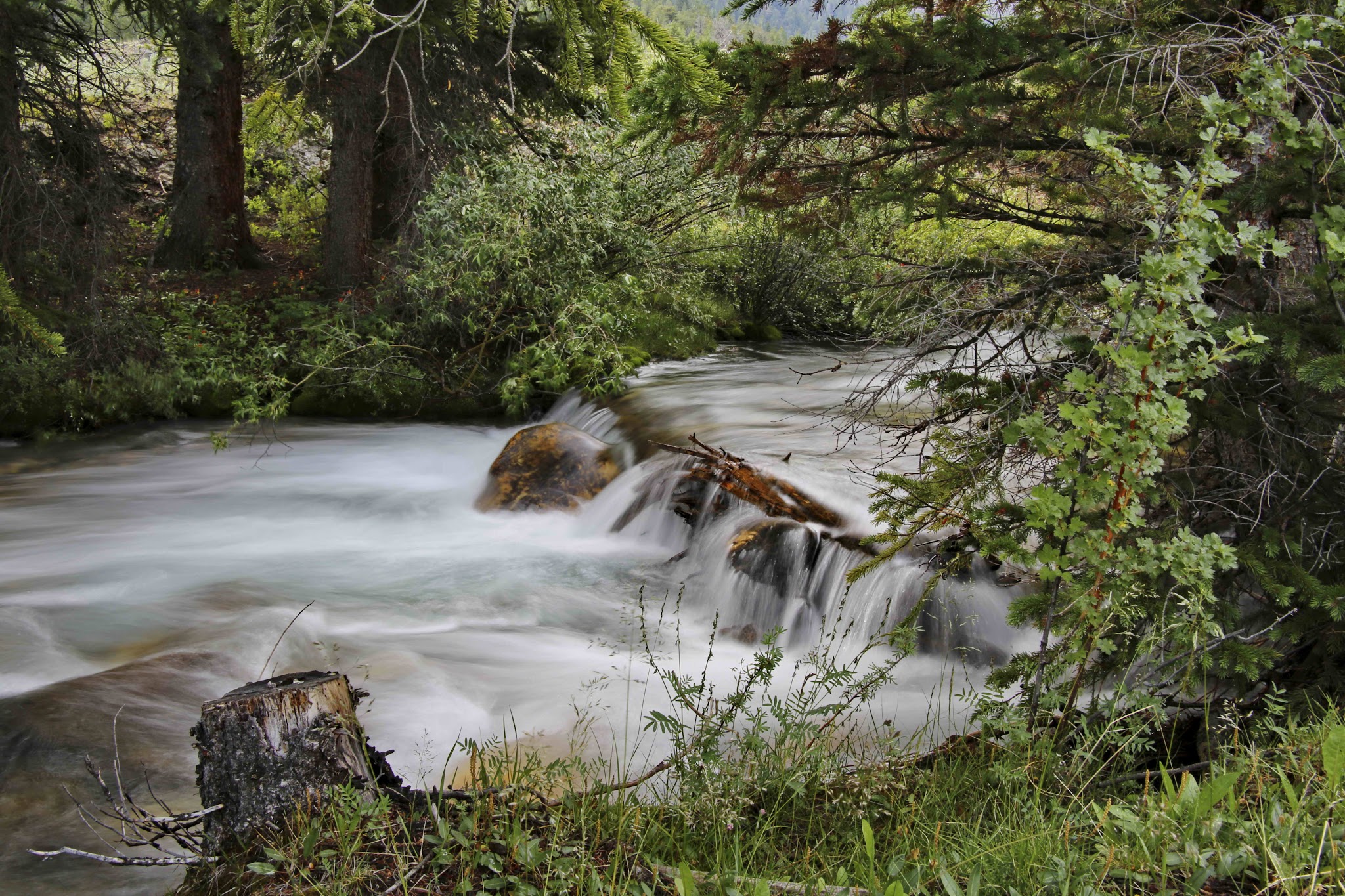West Fork Upper Pahsimeroi Trailhead