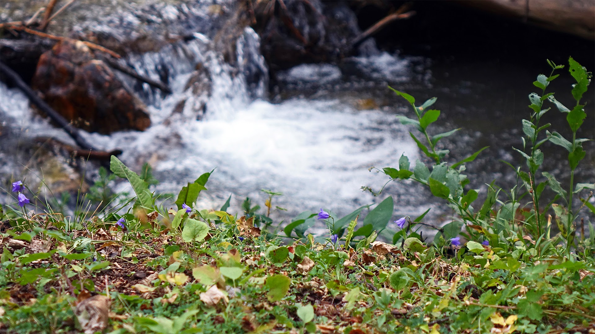 West Fork Upper Pahsimeroi Trailhead