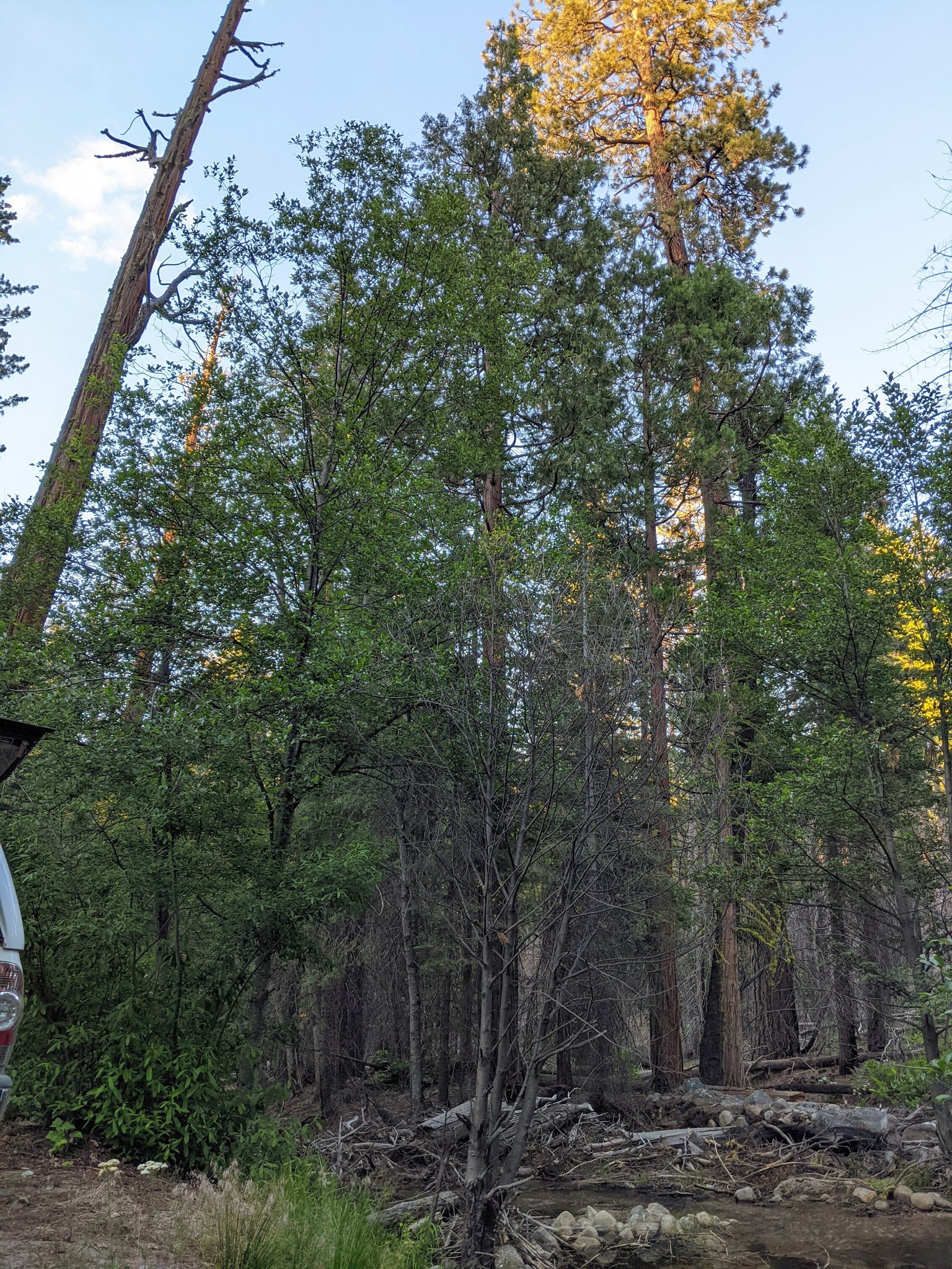 West Kaiser Campground