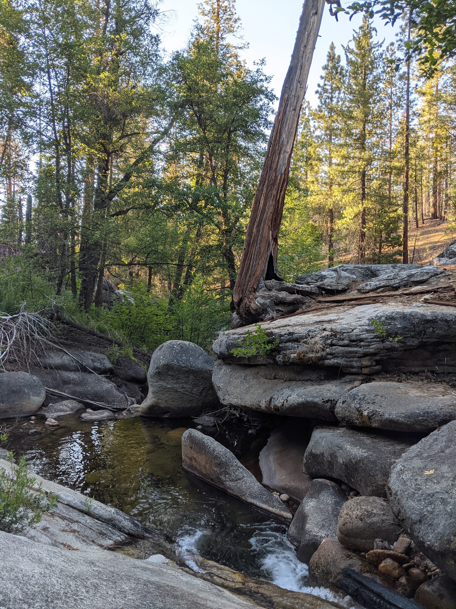 West Kaiser Campground