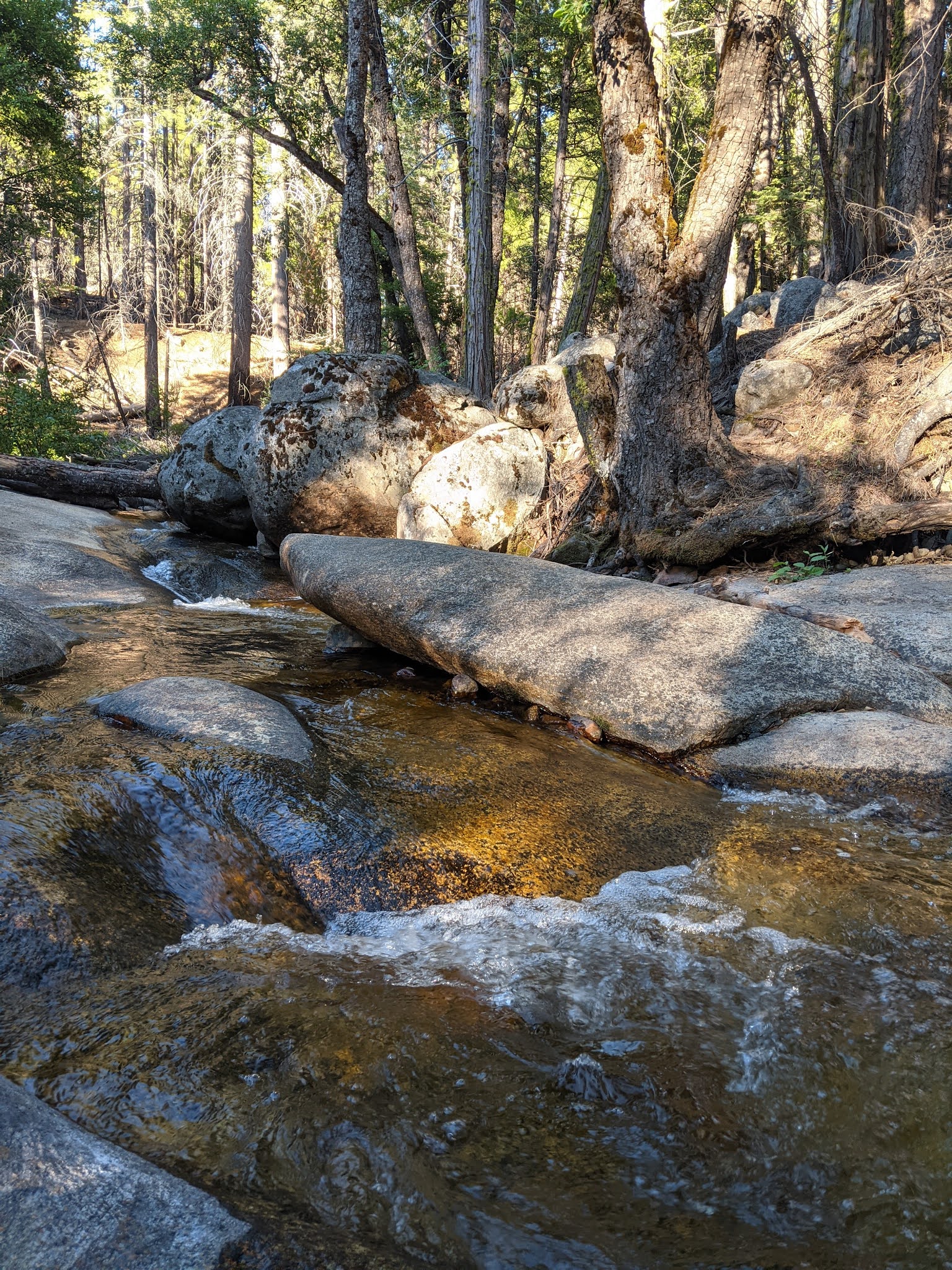 West Kaiser Campground