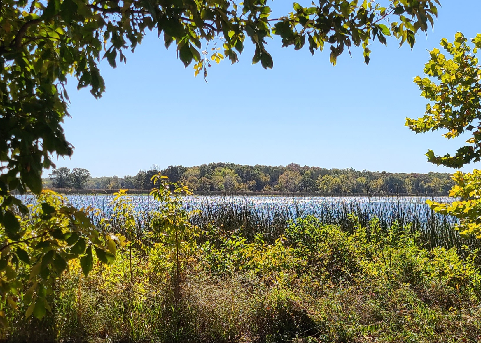 West Lake Davy Crockett