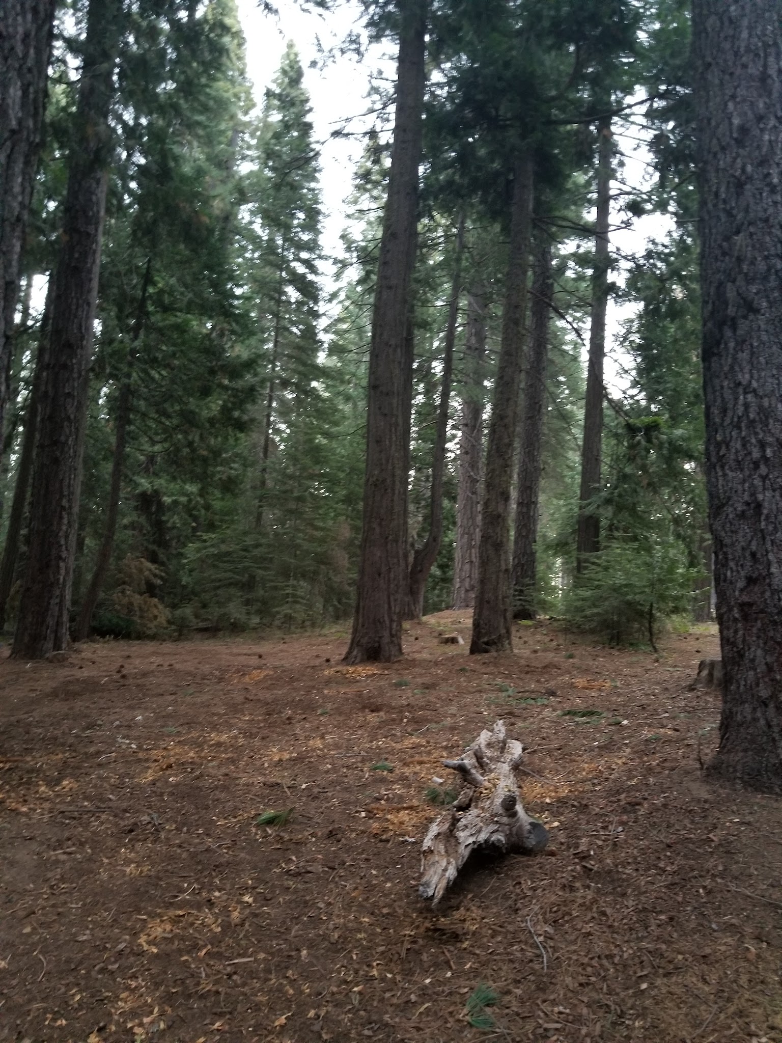 West Point Campground