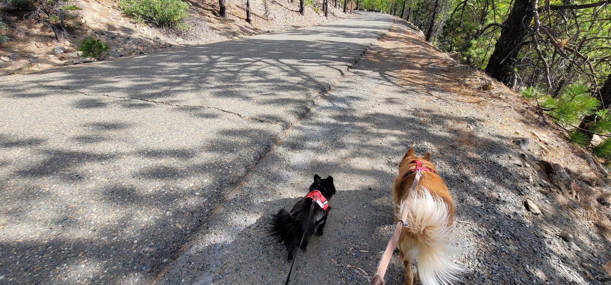 West Point Campground