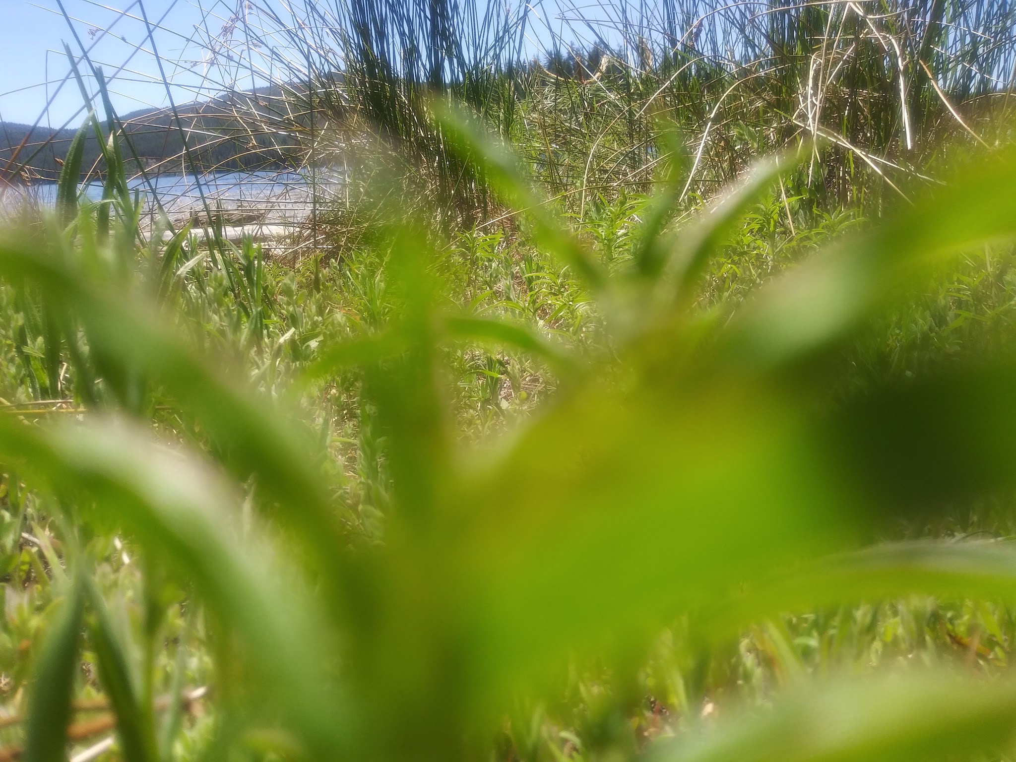 West Point Campground