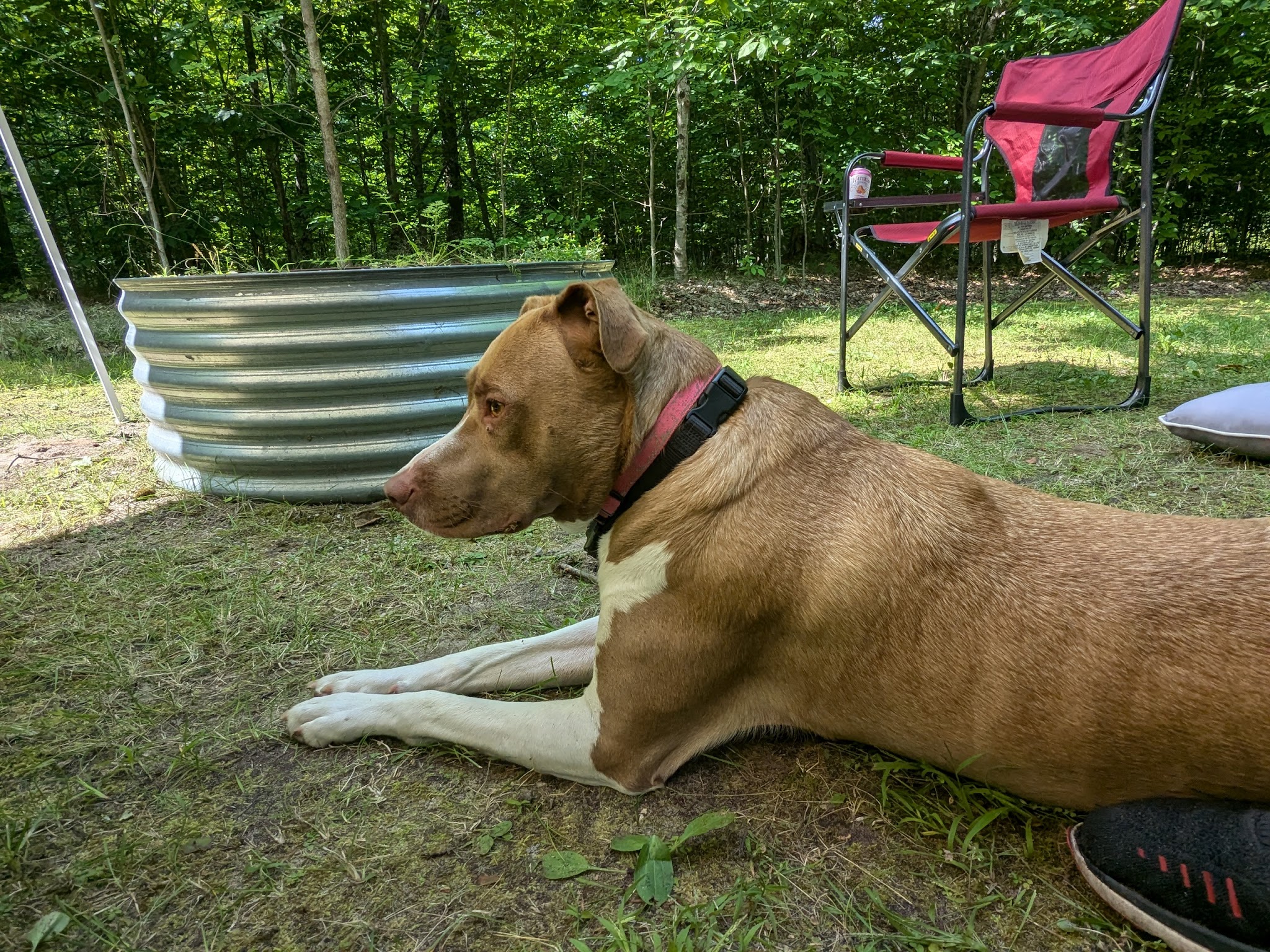 Indian Lake West Campground