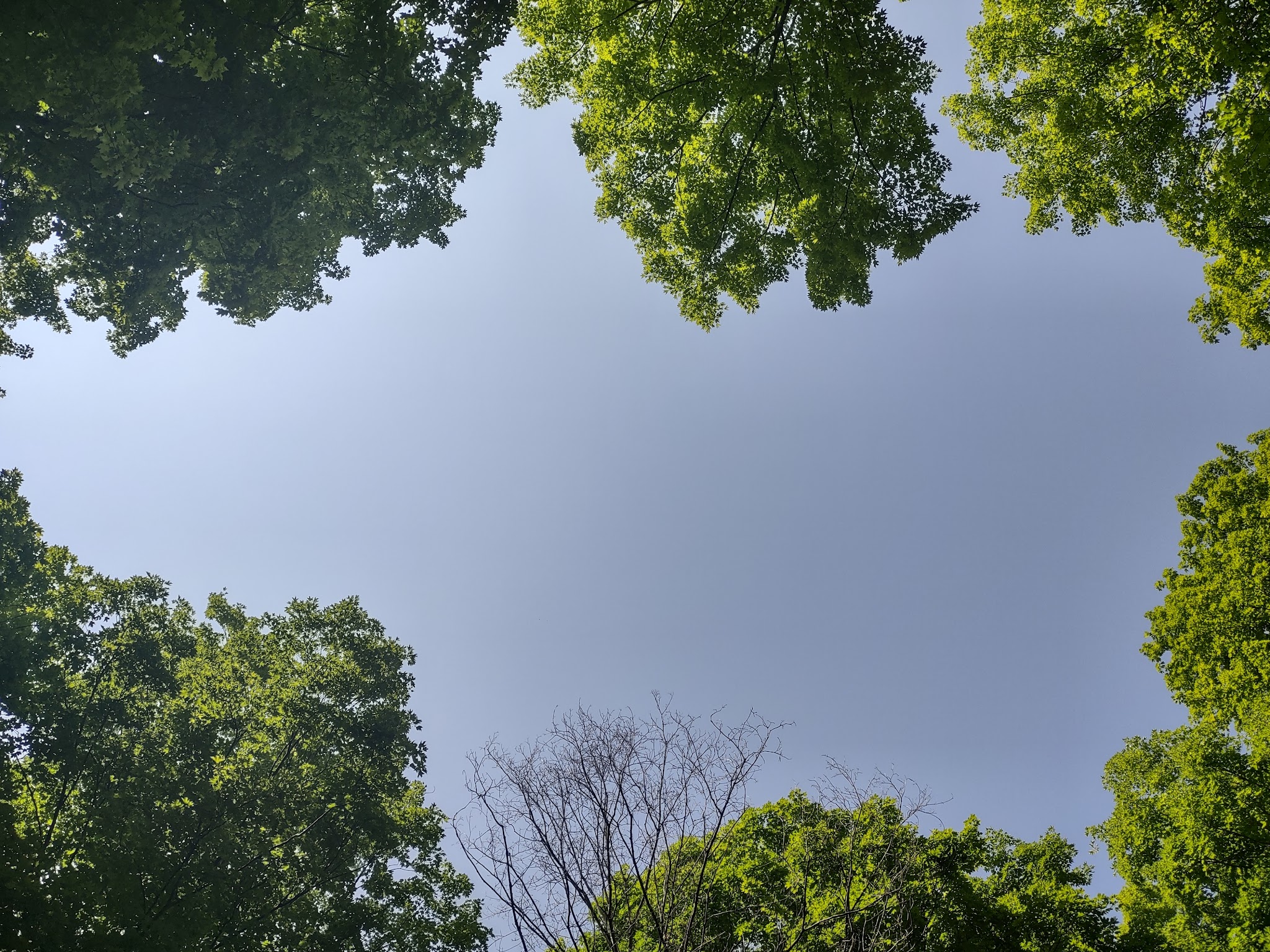 Indian Lake West Campground