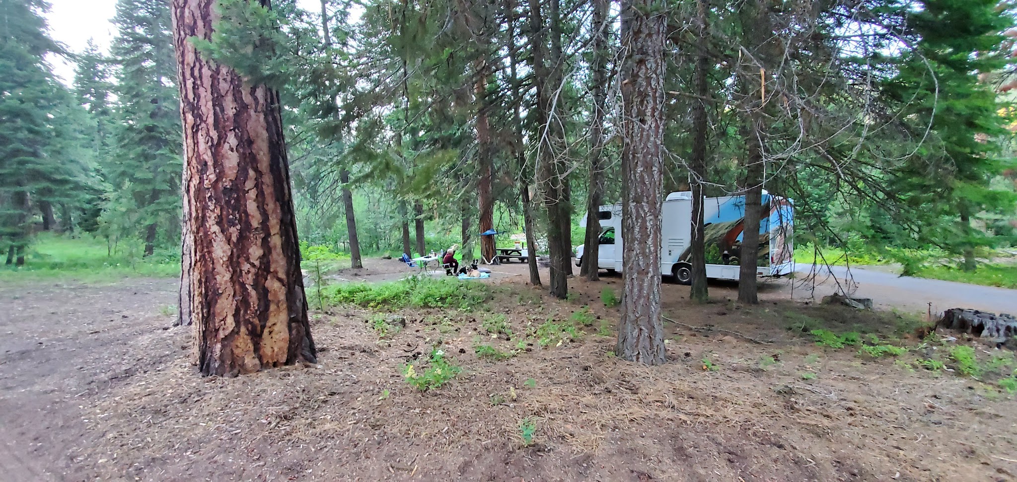Wetmore Campground
