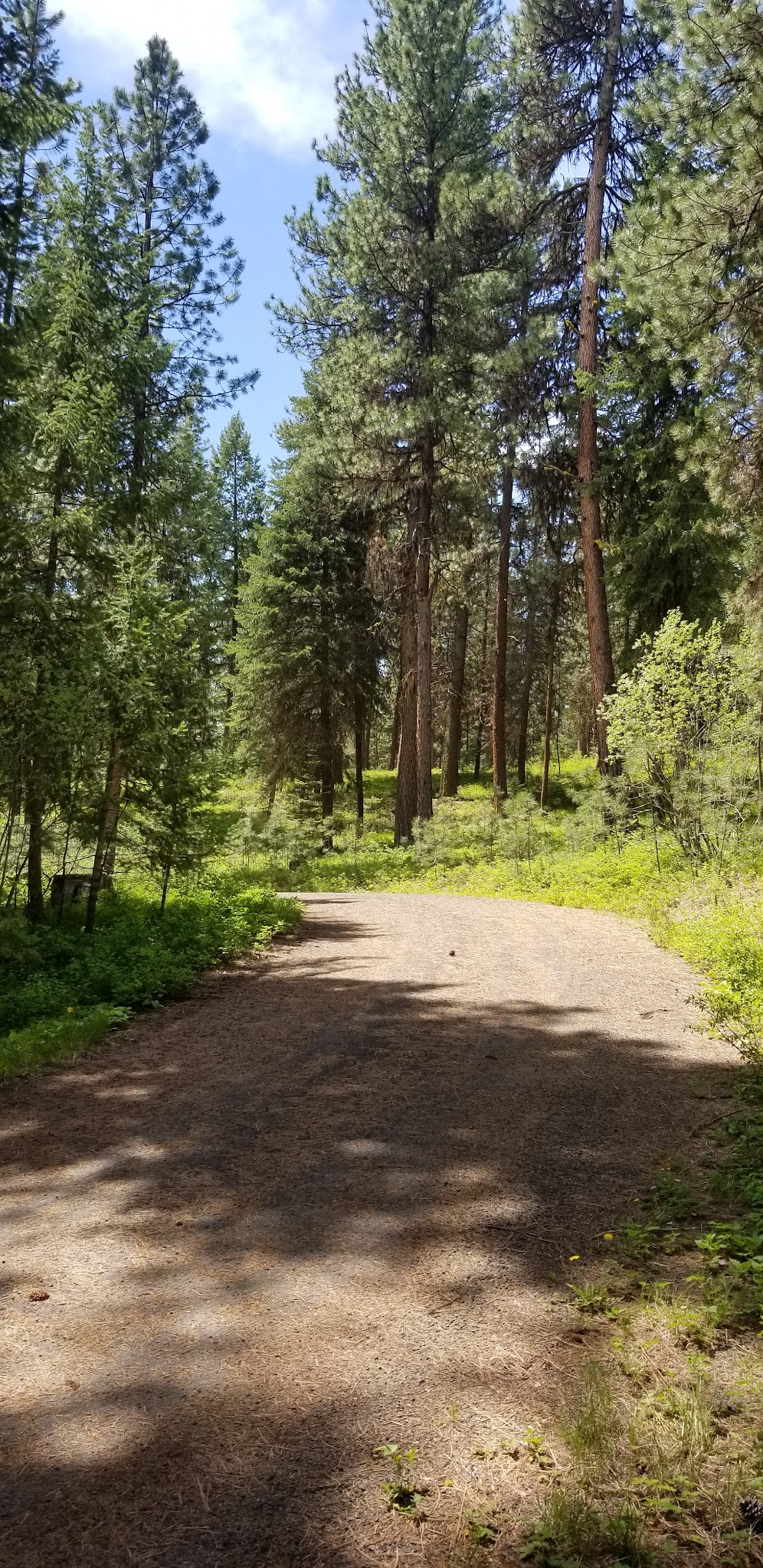 Wetmore Campground