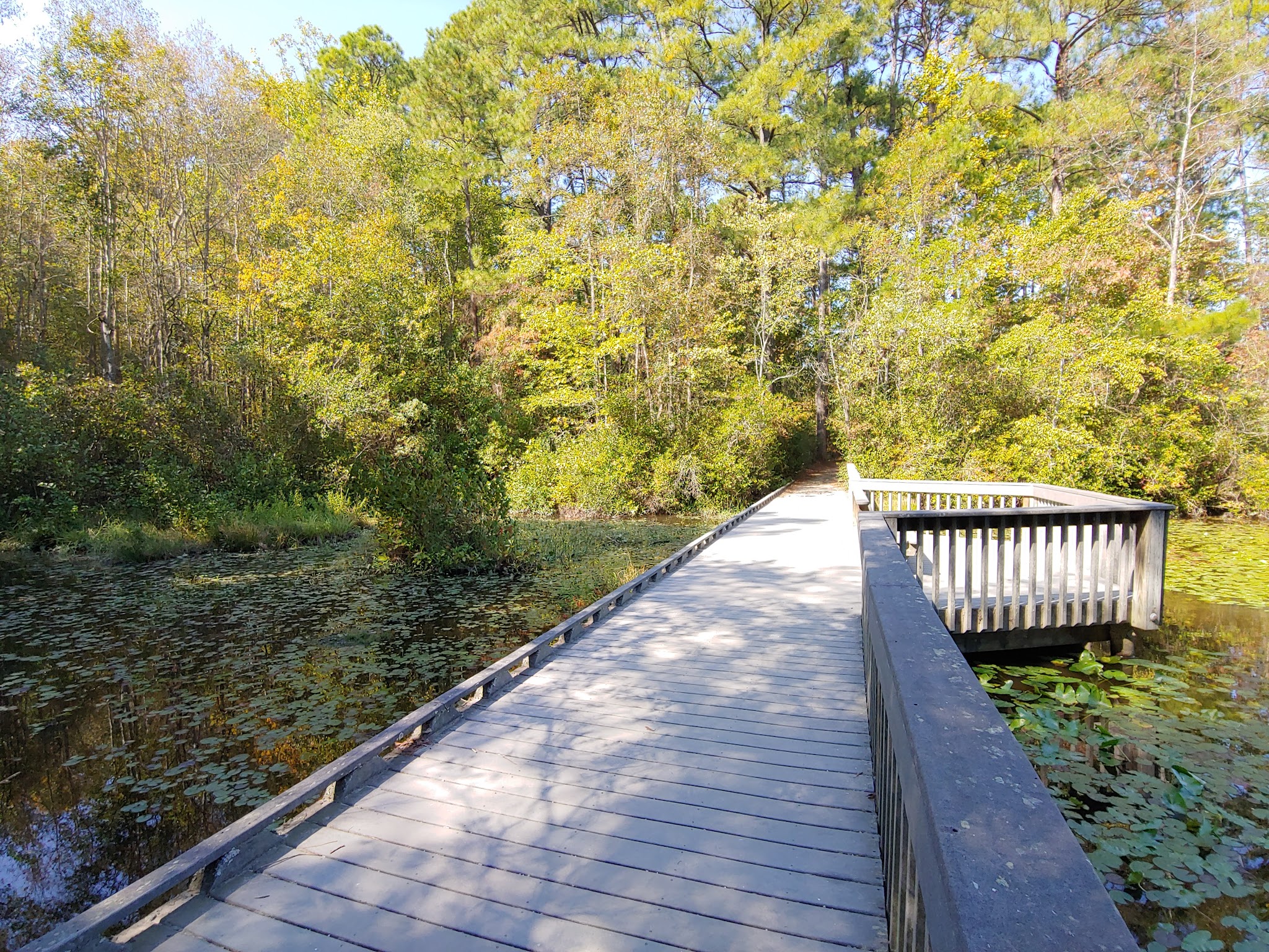Weymouth Woods State Natural Area