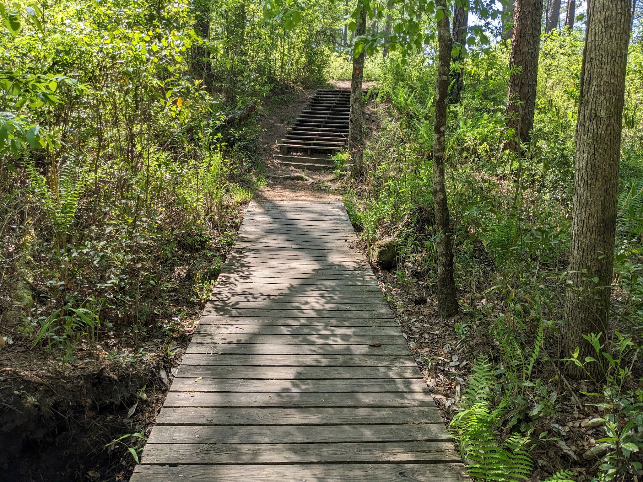 Weymouth Woods State Natural Area