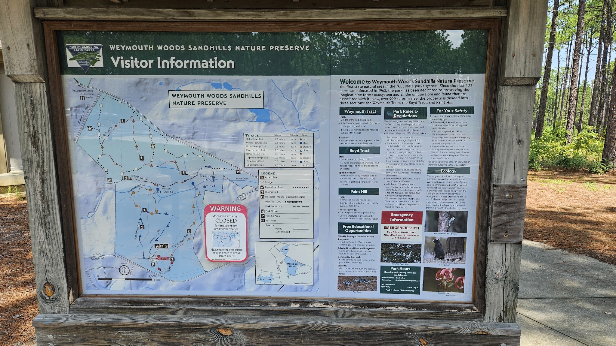 Weymouth Woods State Natural Area