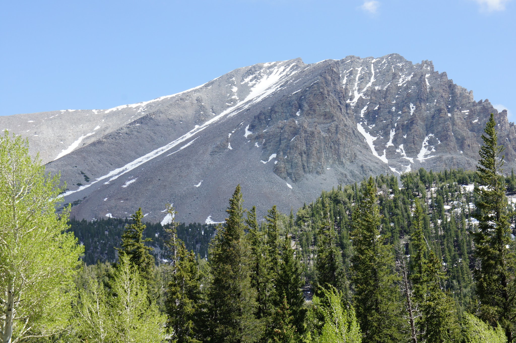 Wheeler Peak Campground