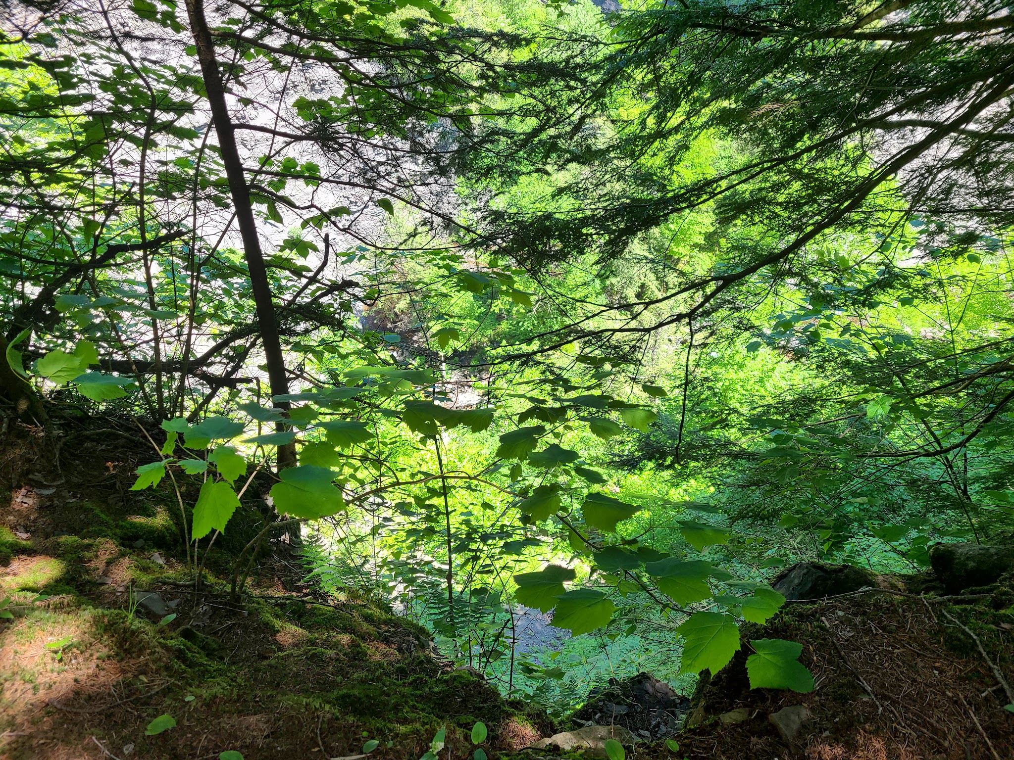 Whetstone Gulf State Park