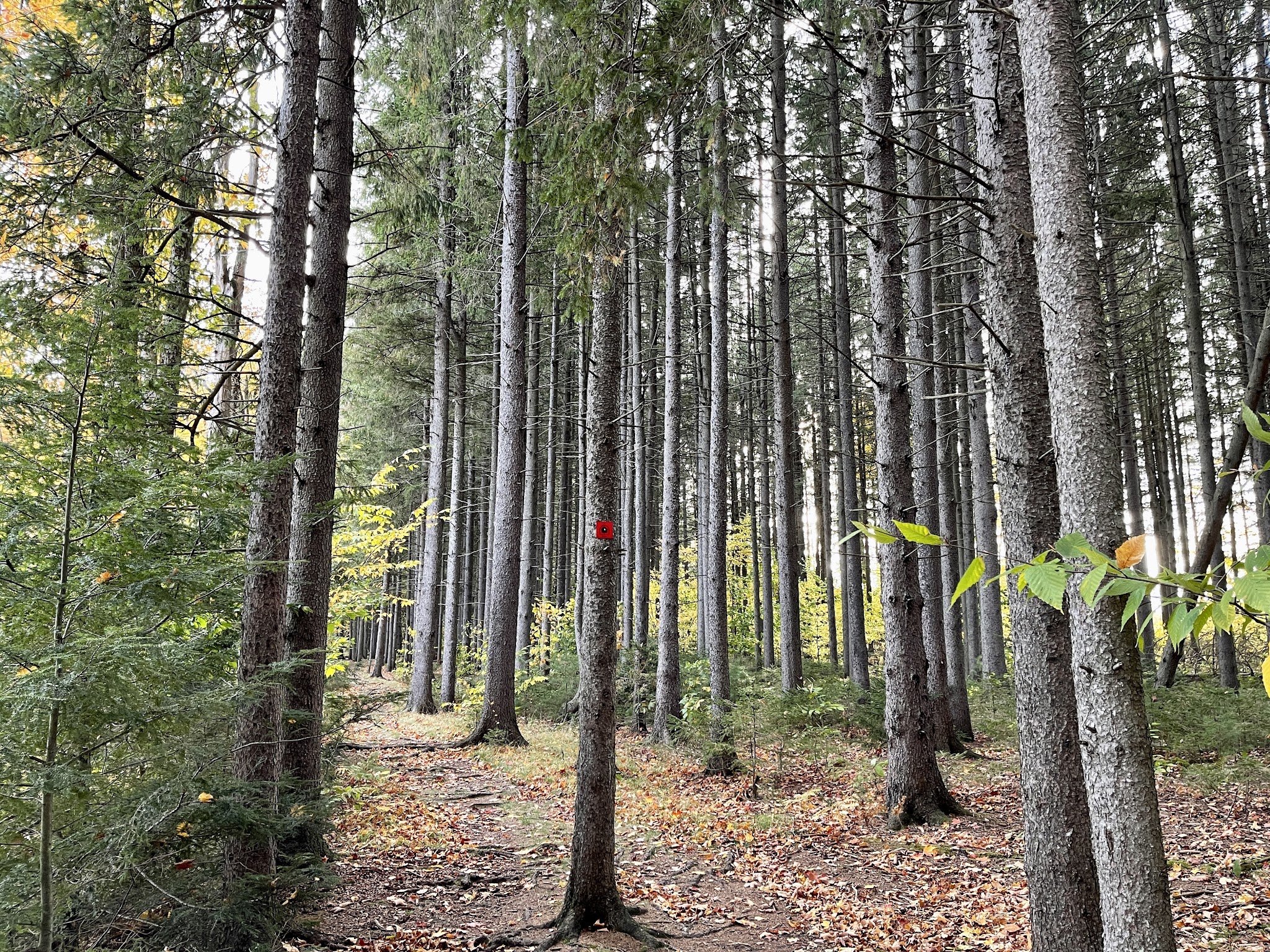 Whetstone Gulf State Park