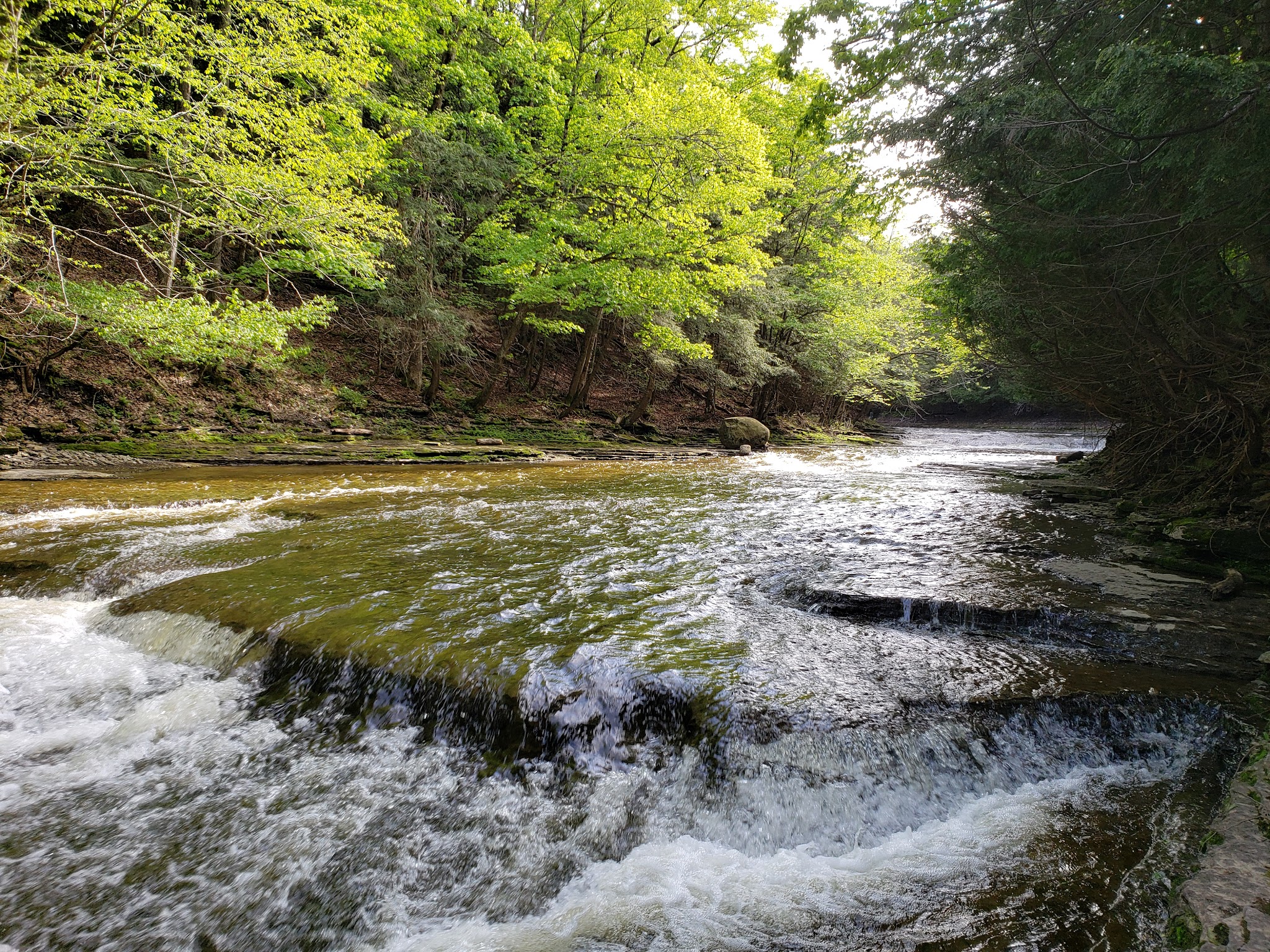 Whetstone Gulf State Park