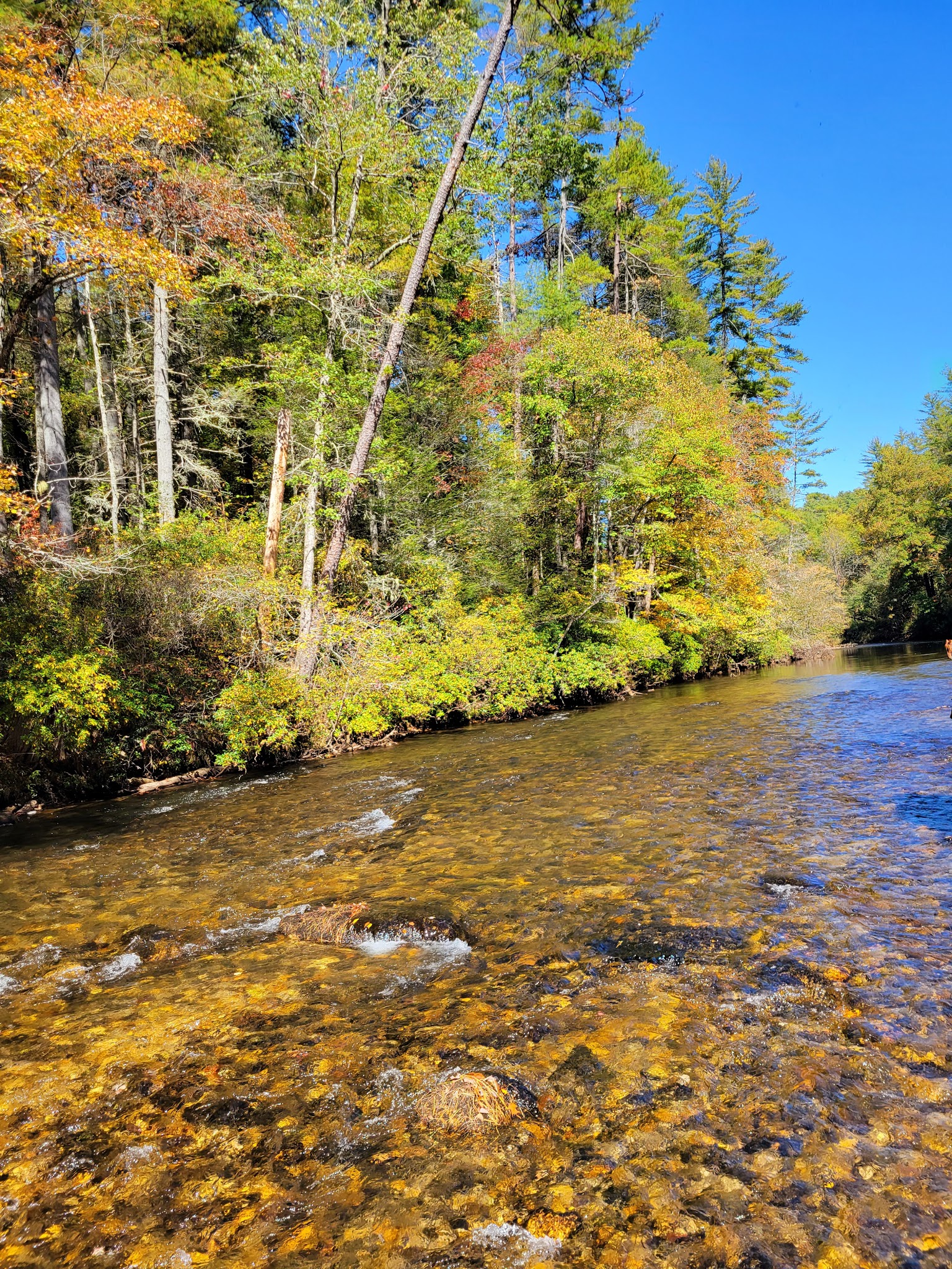 Whetstone Horse Camp