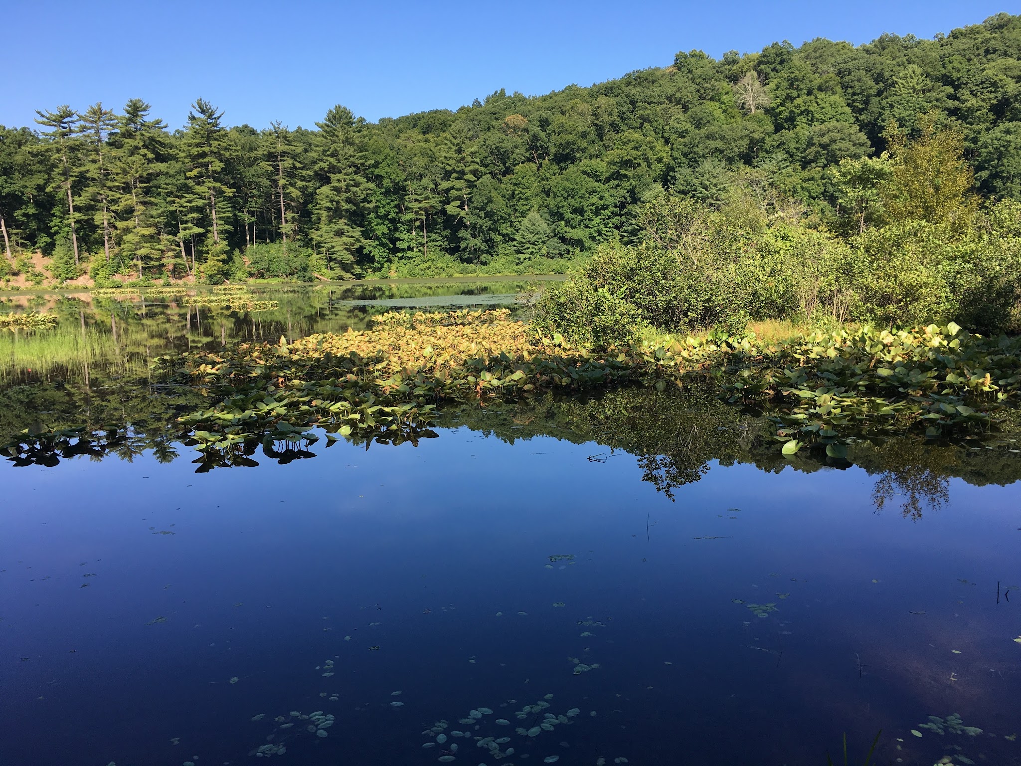 Whipple Dam State Park