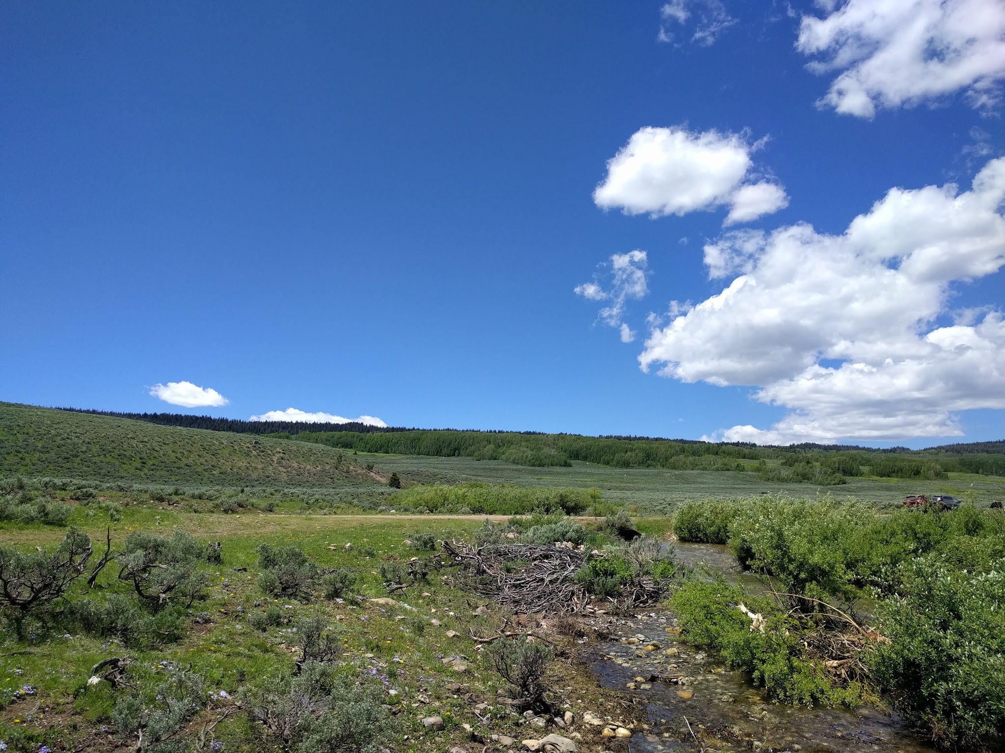 Whiskey Grove Campground