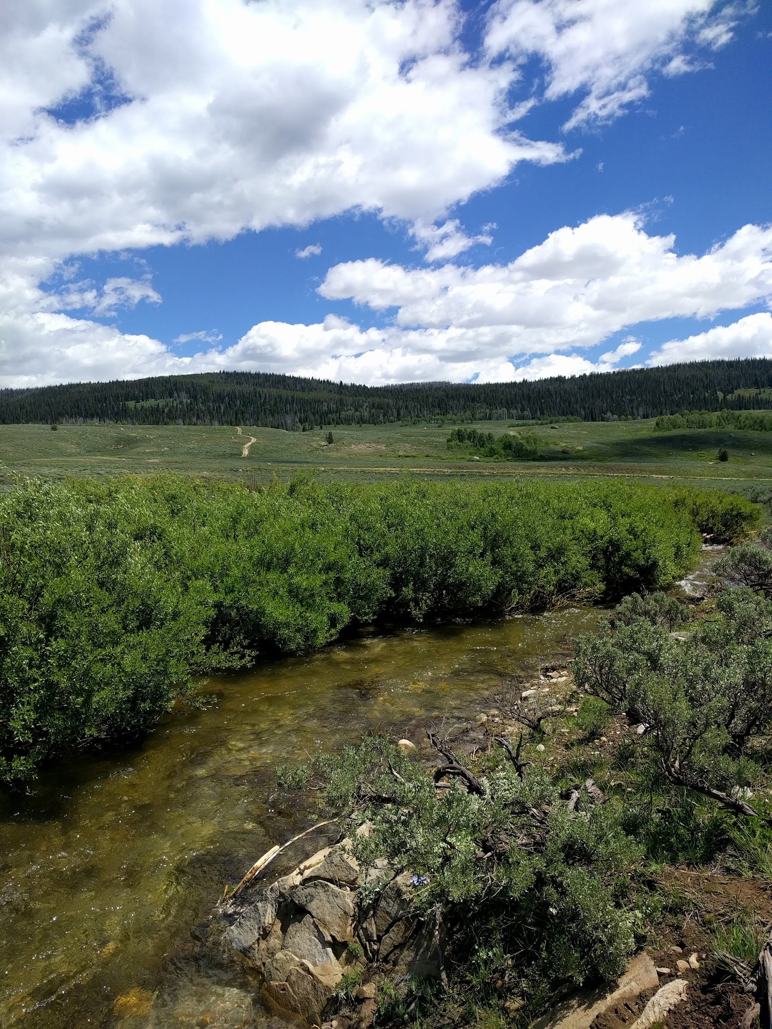 Whiskey Grove Campground