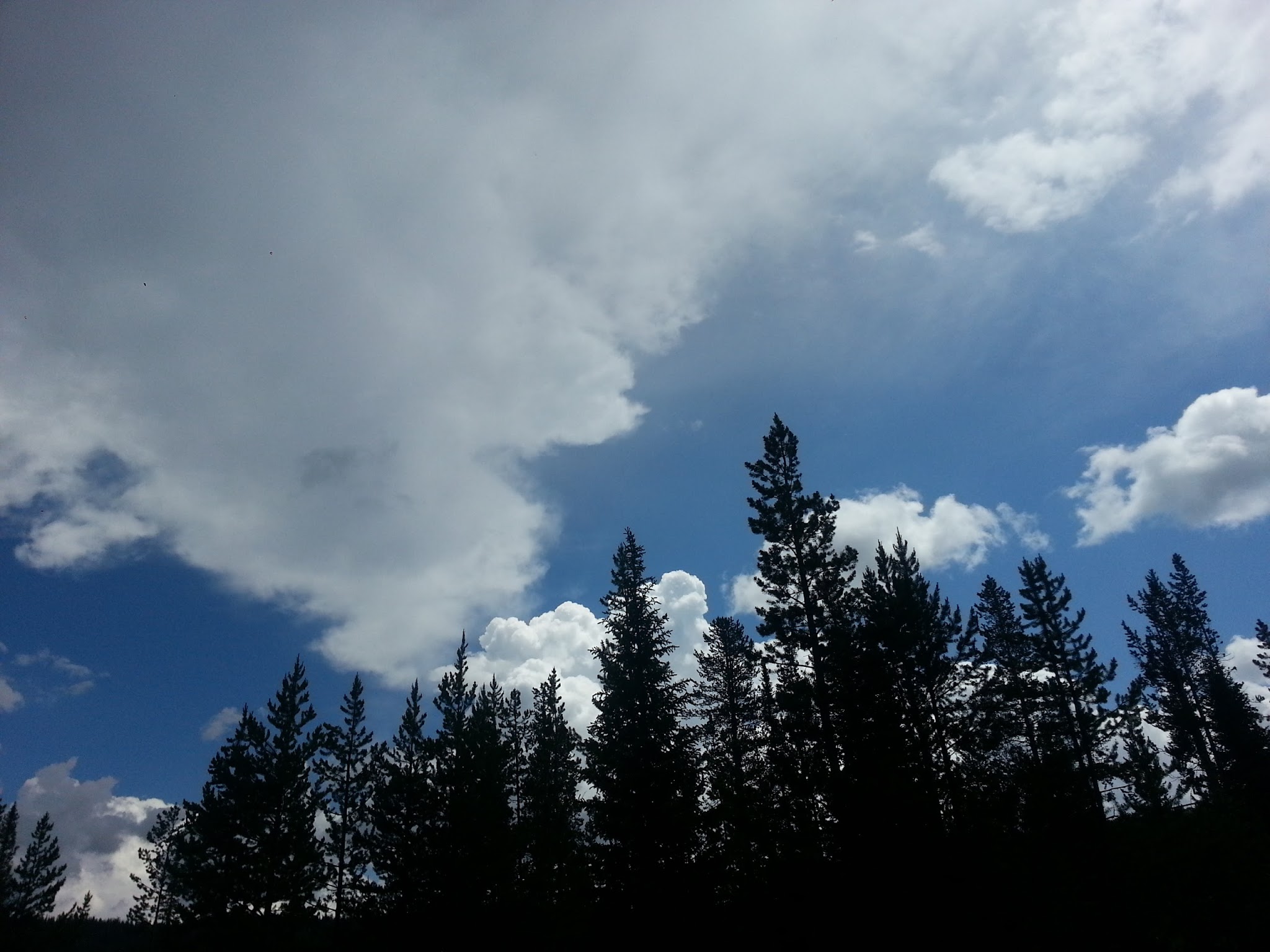 Whiskey Grove Campground